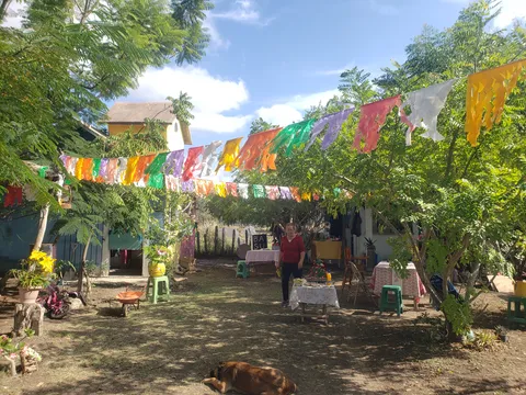 Cerritos de mis amores image 5