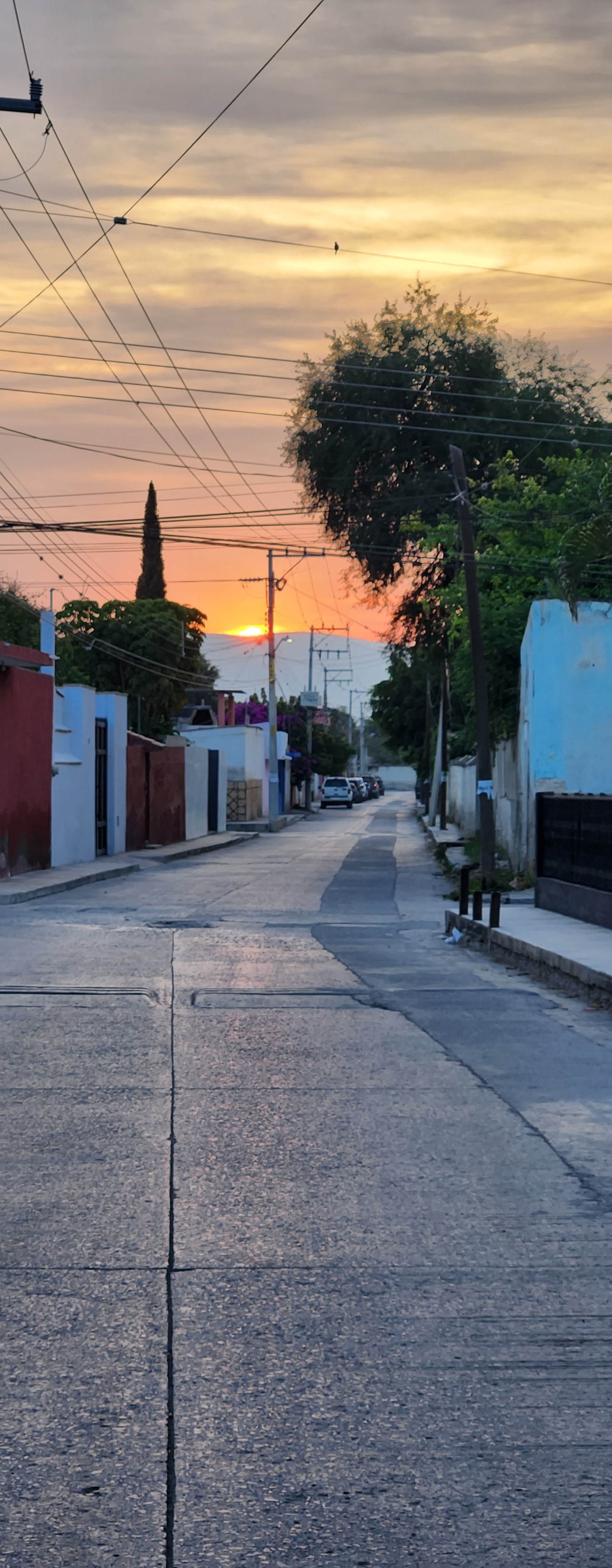 Cerritos de mis amores image 7