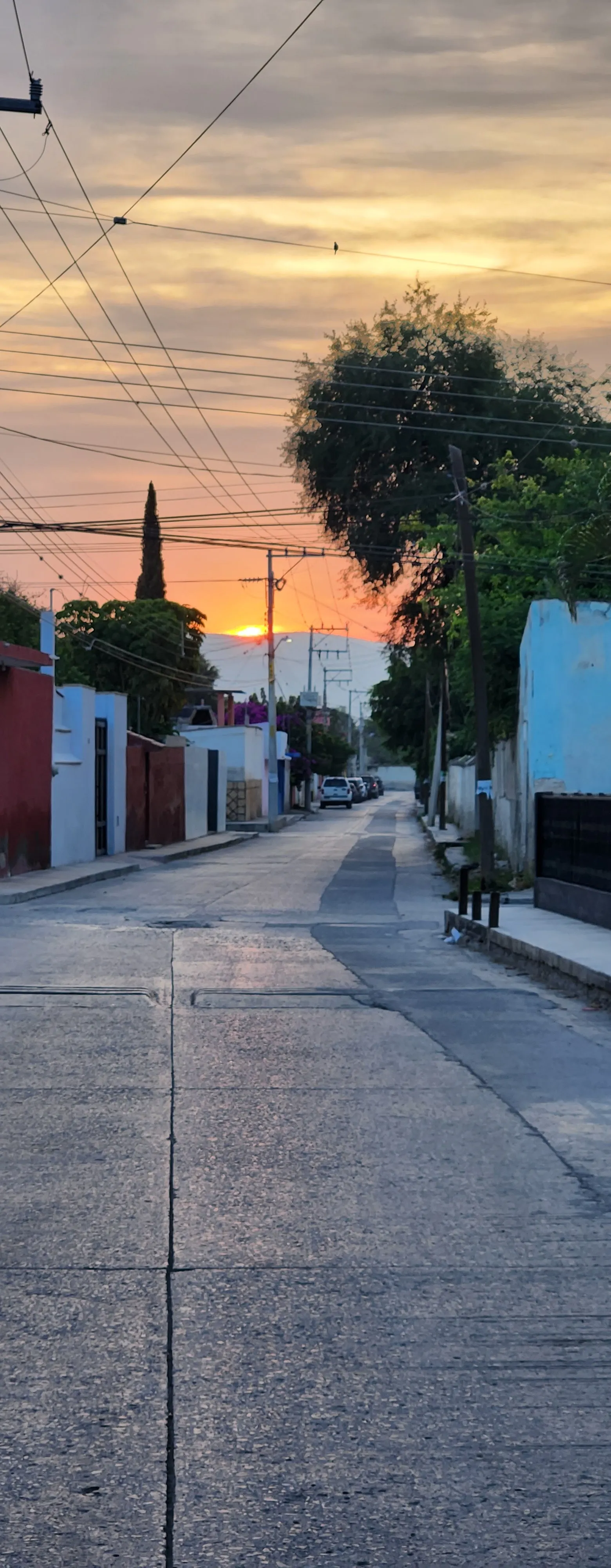 Cerritos de mis amores image 7