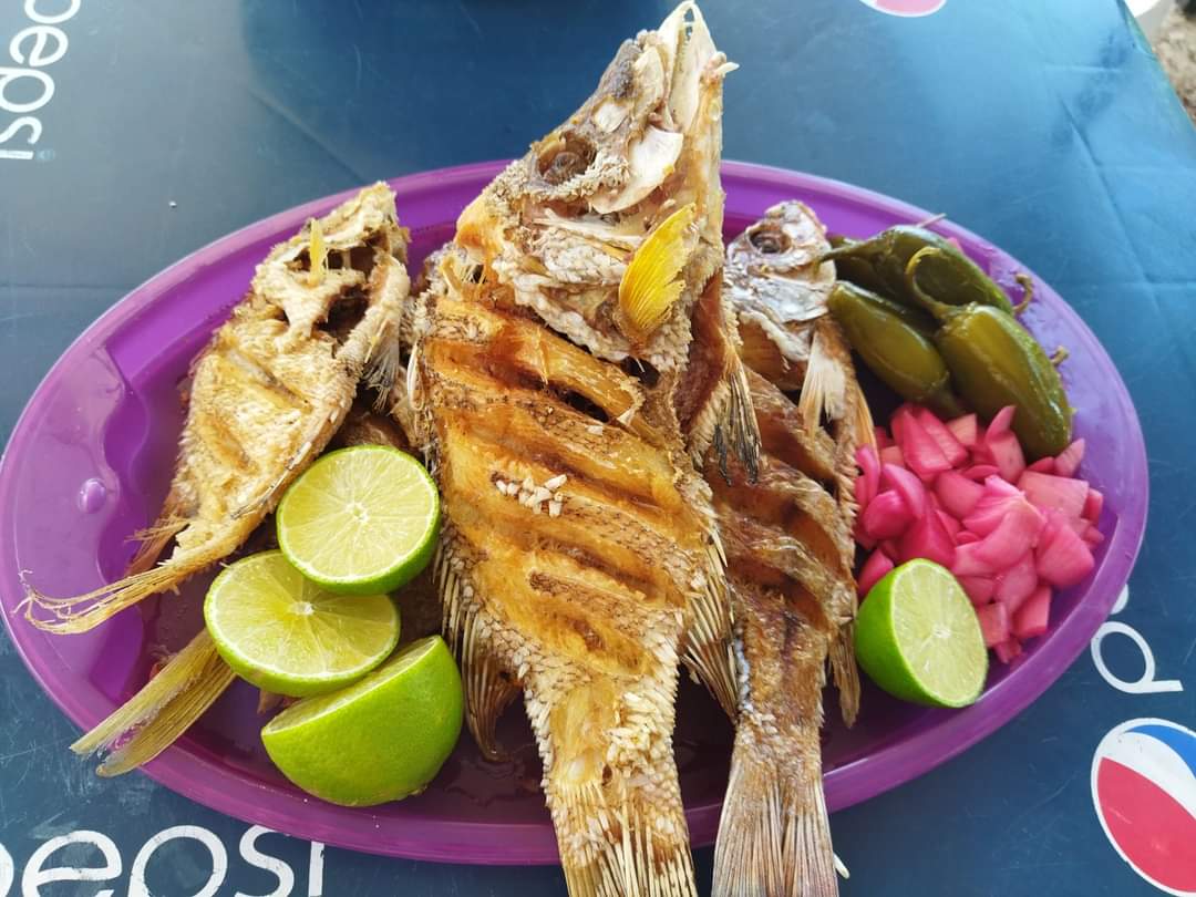 El Patrón Del Mar image 1