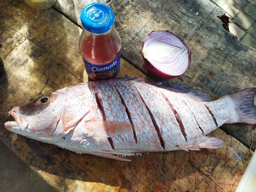 El Patrón Del Mar image 5