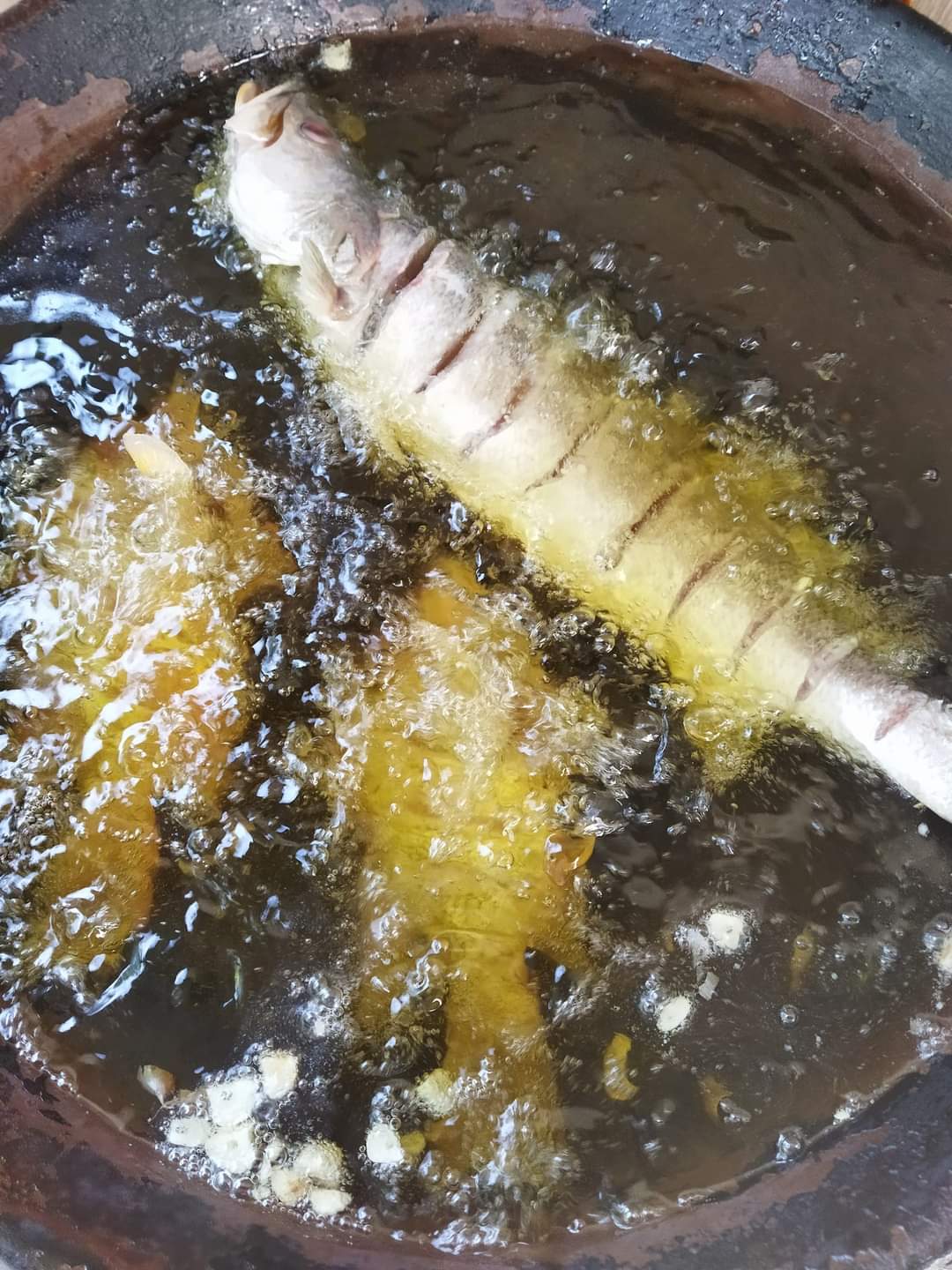 El Patrón Del Mar image 7