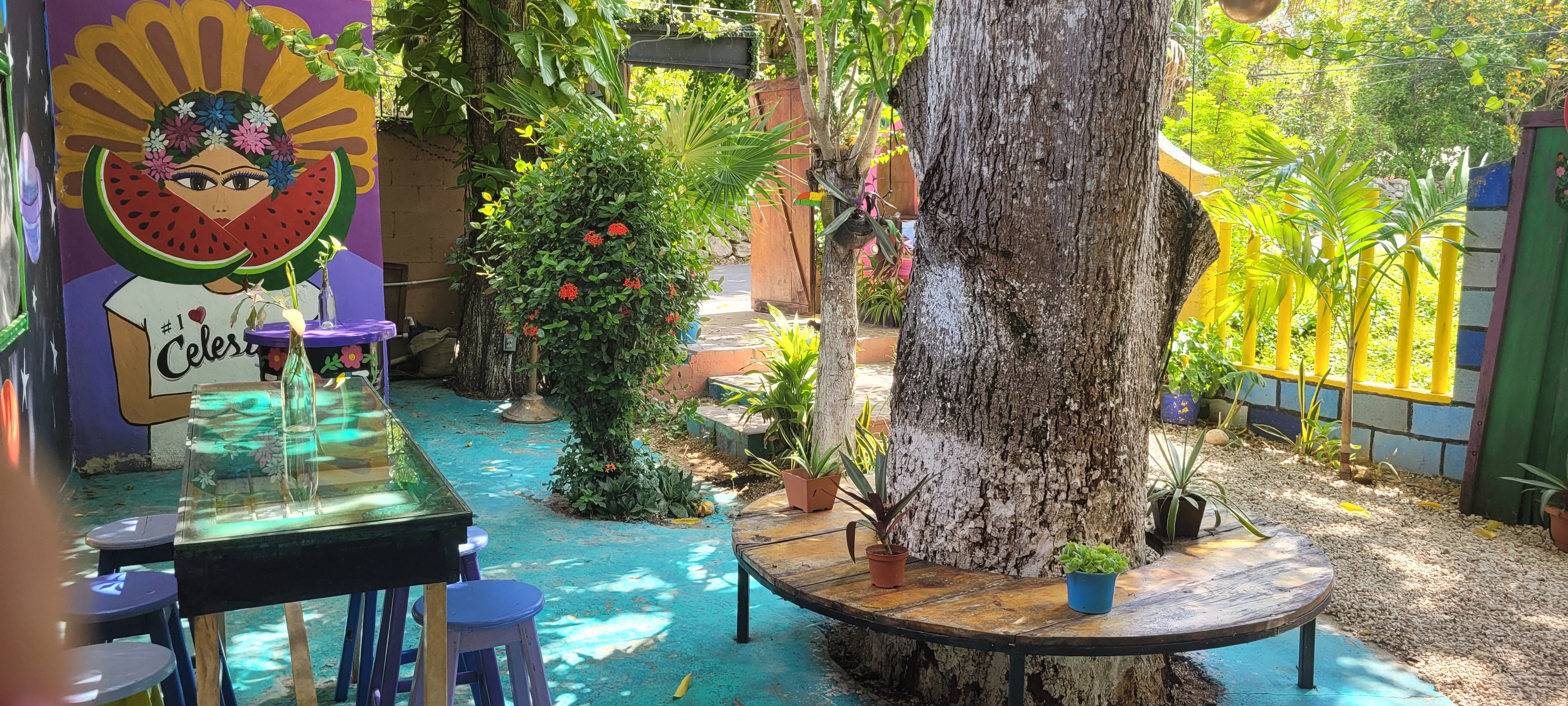 Celestial P Cocina Eclectica Jardin image 7