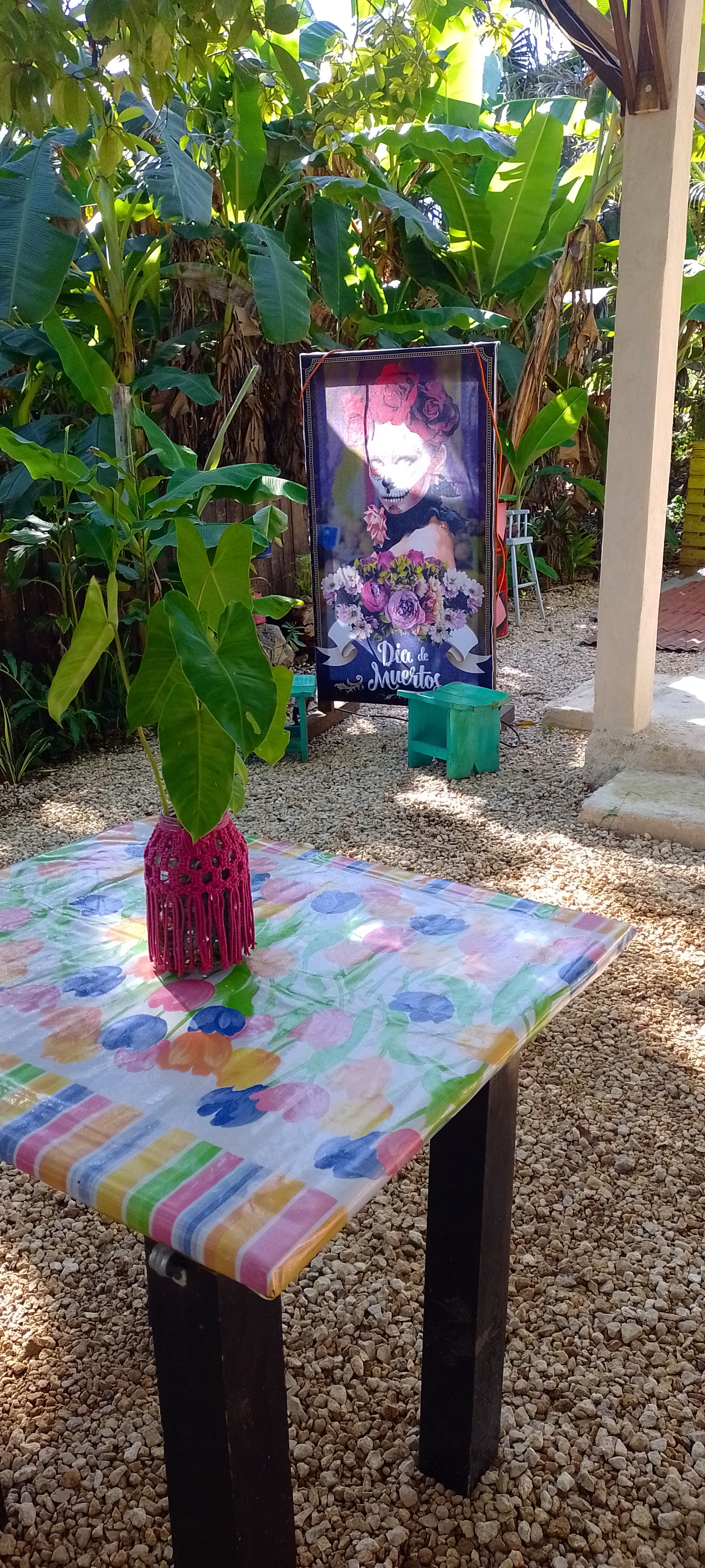 Celestial P Cocina Eclectica Jardin image 8