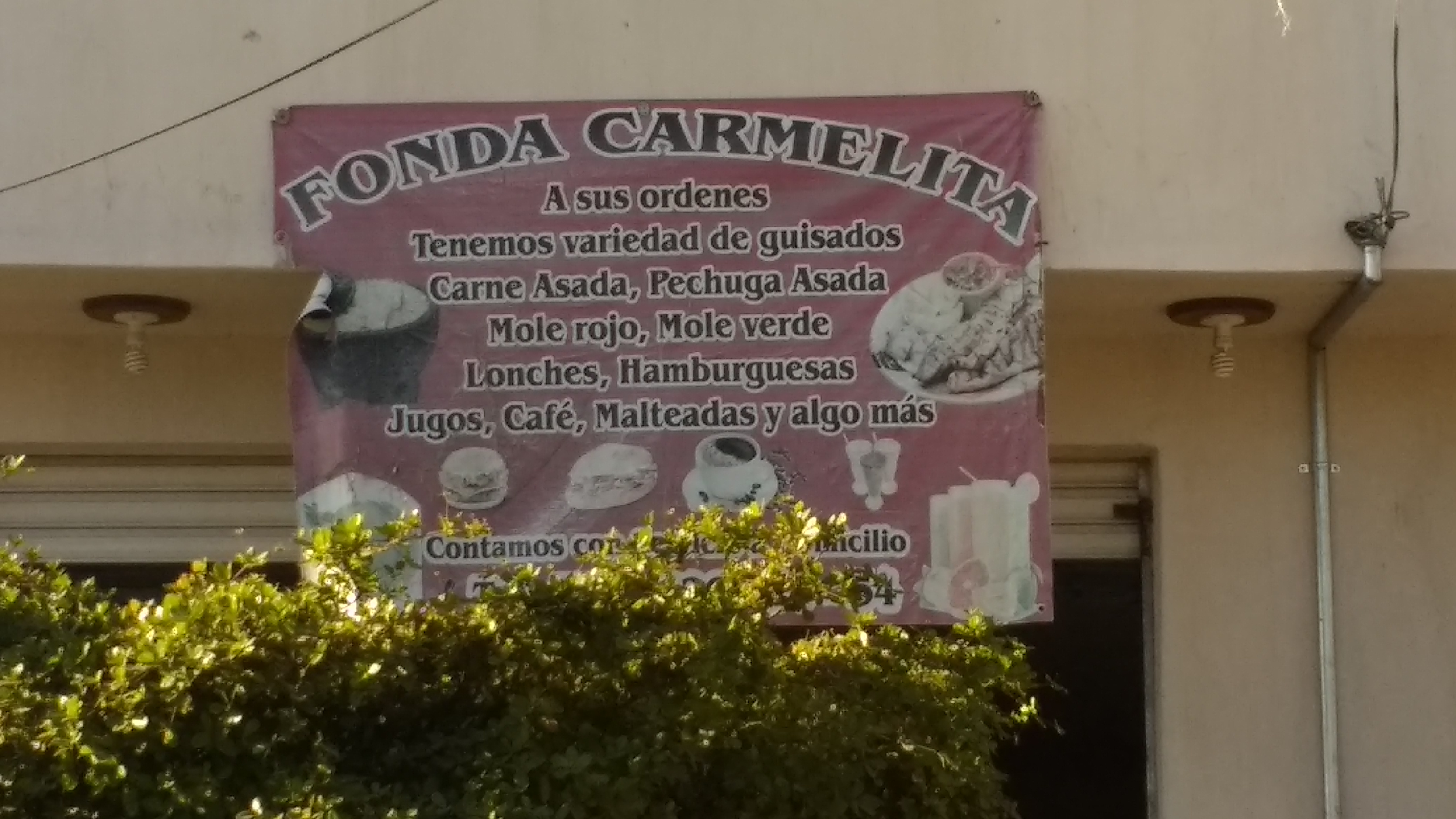 Fonda Carmelita image 10