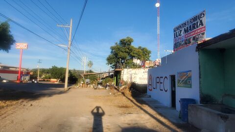 Polleria "luz verde" image 2