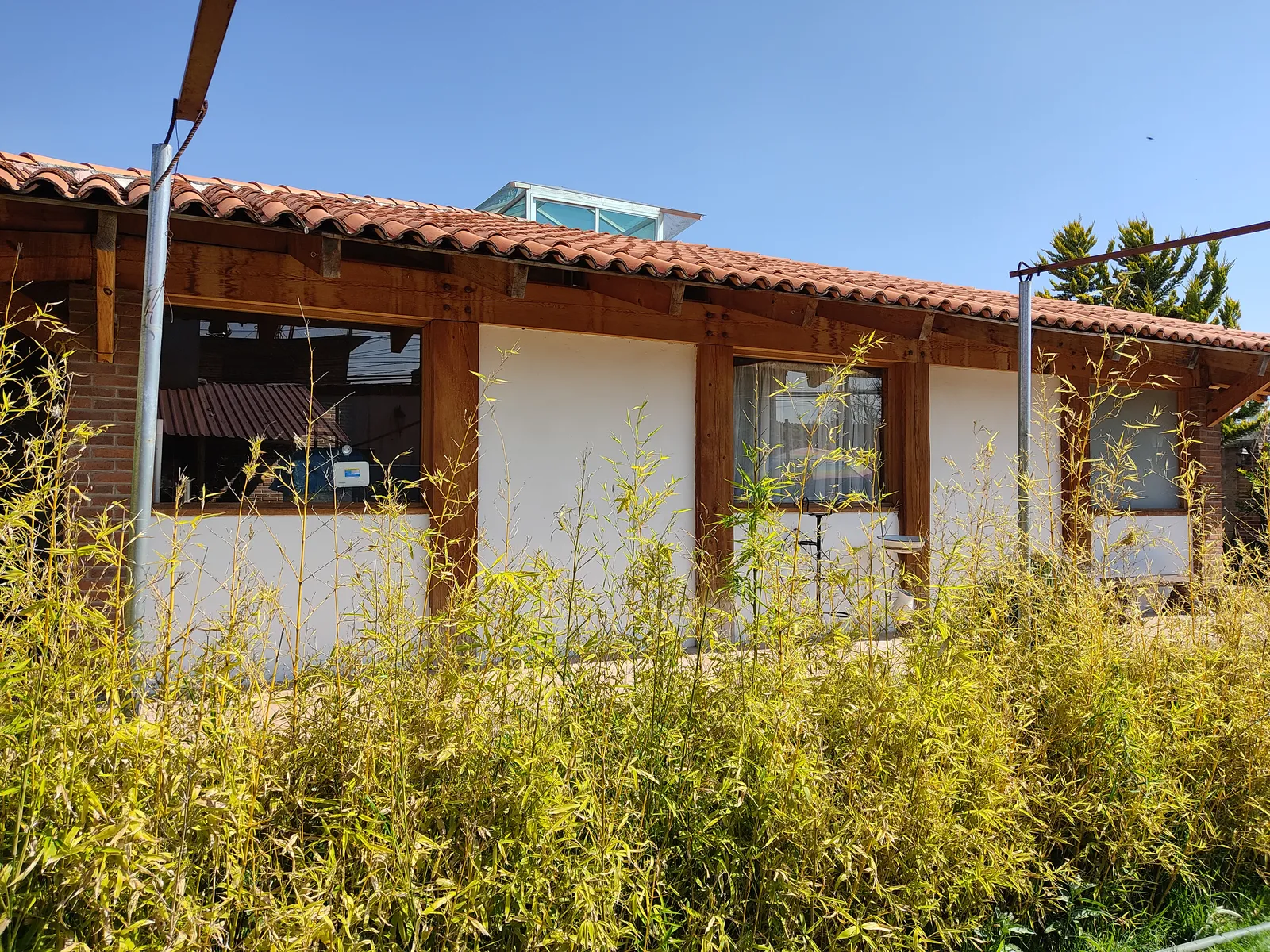 Barbacoa Rancho San Mateo image 3