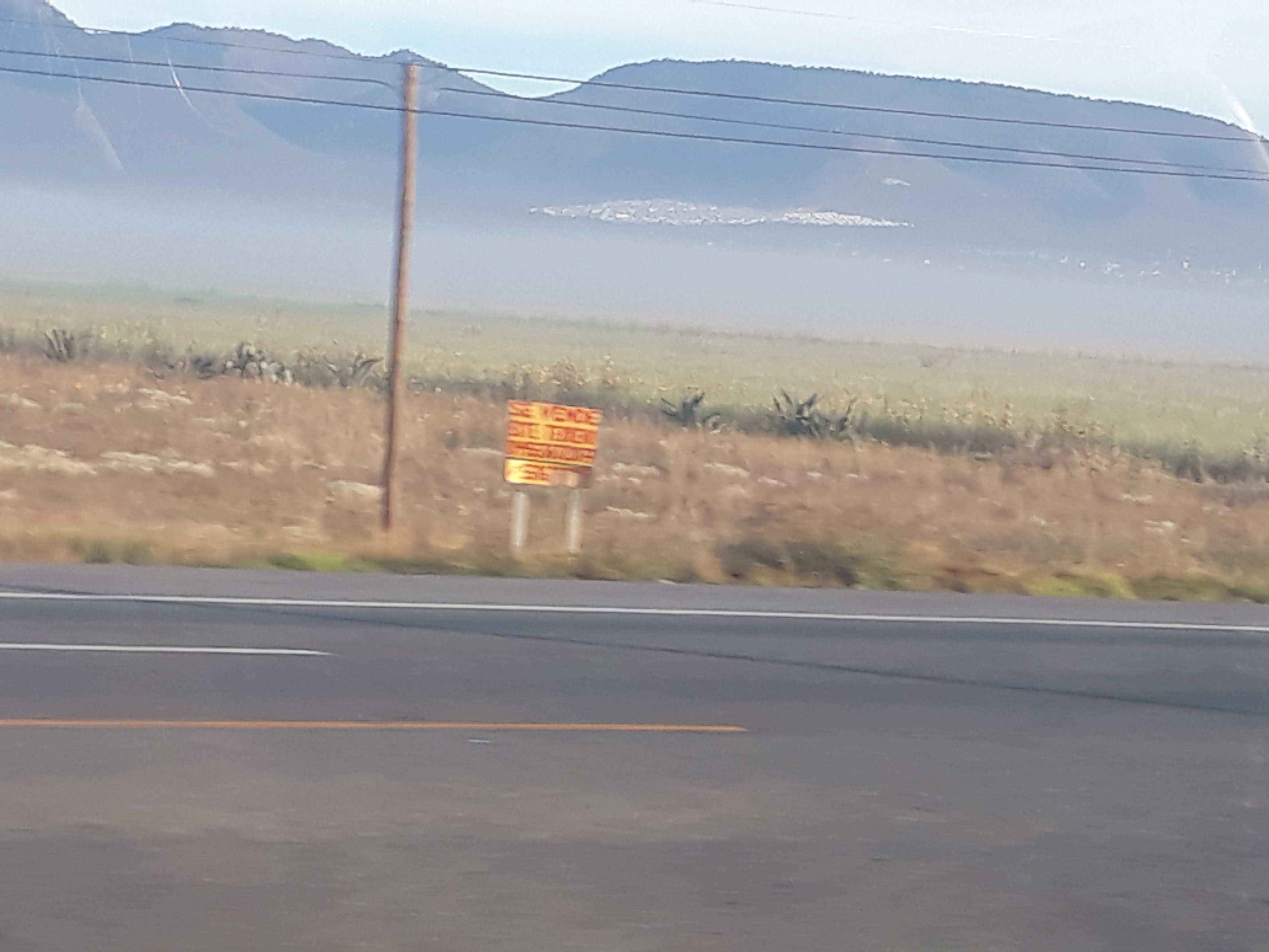 RESTAURANTE LA FLOR DE LOS ANGELES. image 6