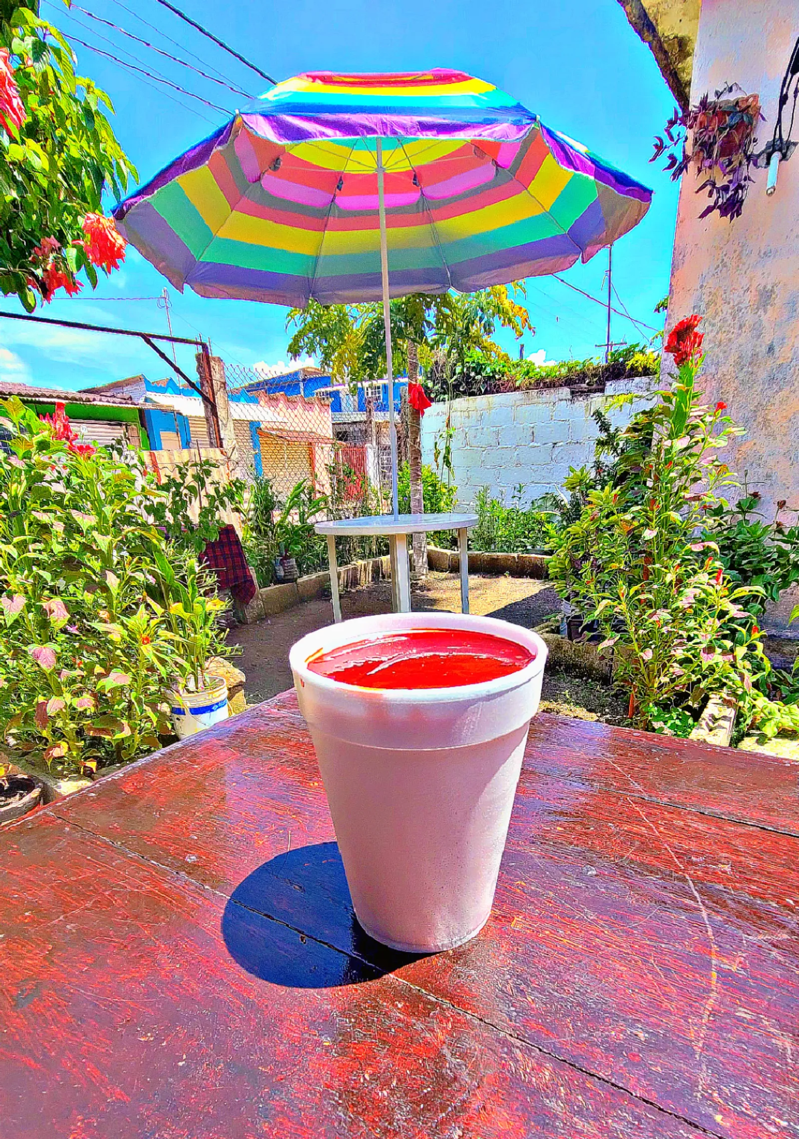 Mi patio image 2