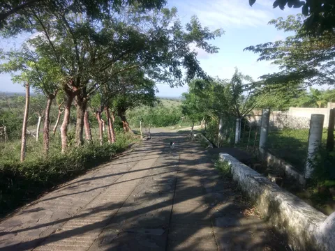 Palapa "El Apompal" image 1