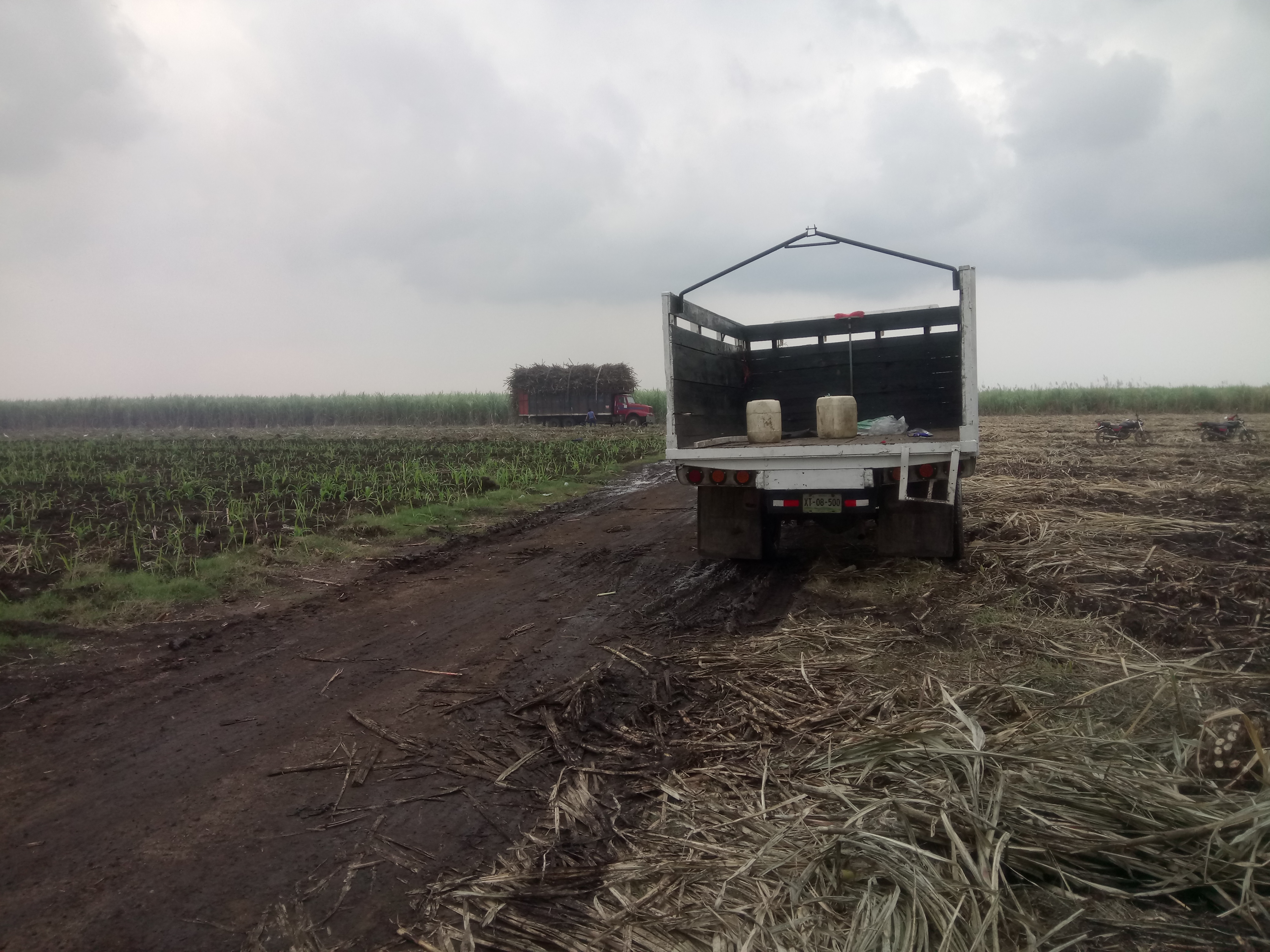 Palapa "El Apompal" image 5