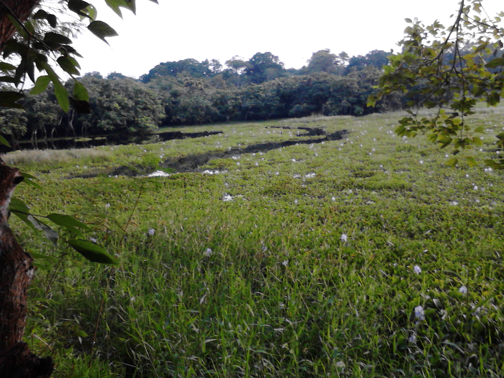 Palapa "El Apompal" image 6