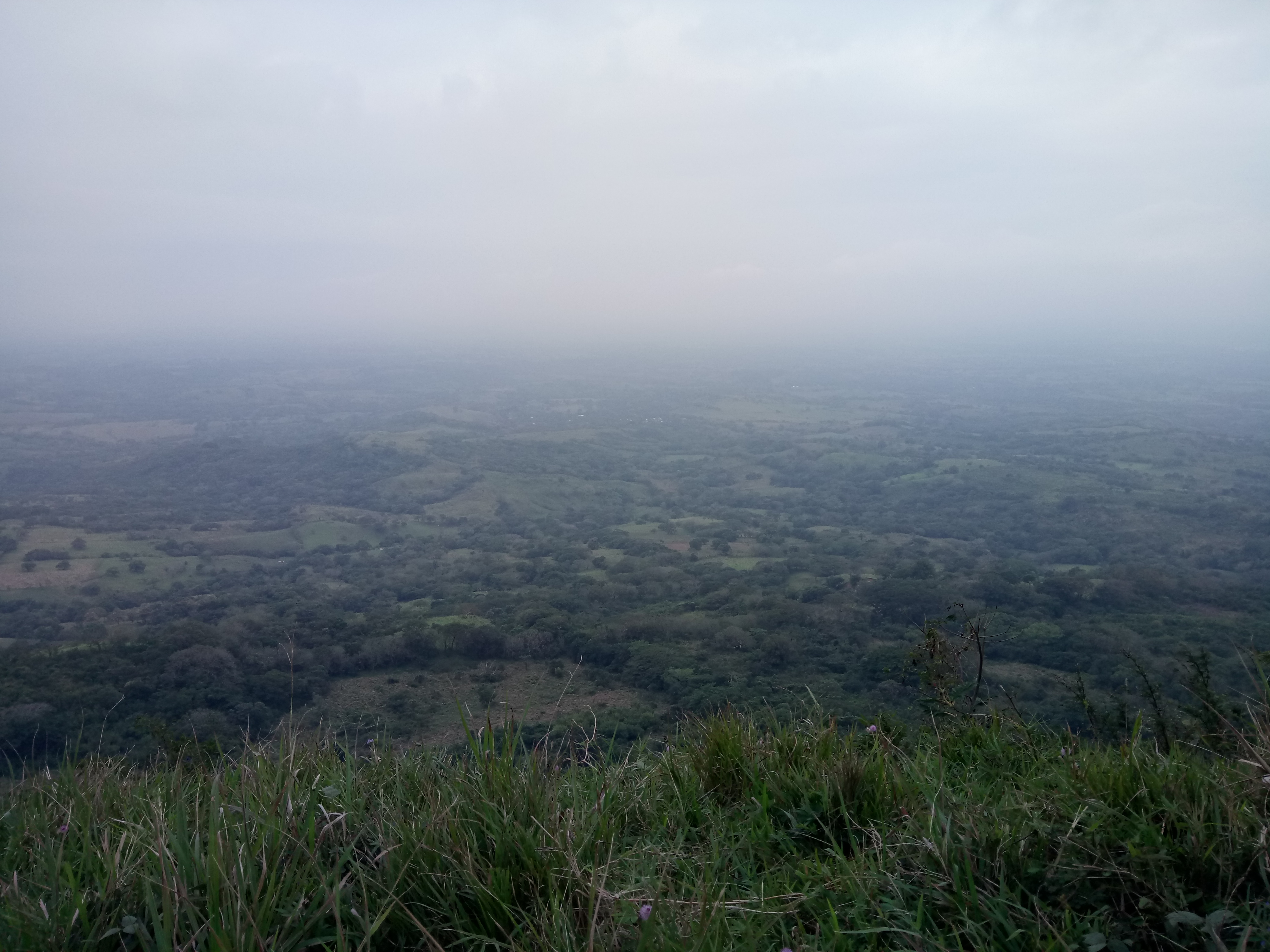 Palapa "El Apompal" image 7