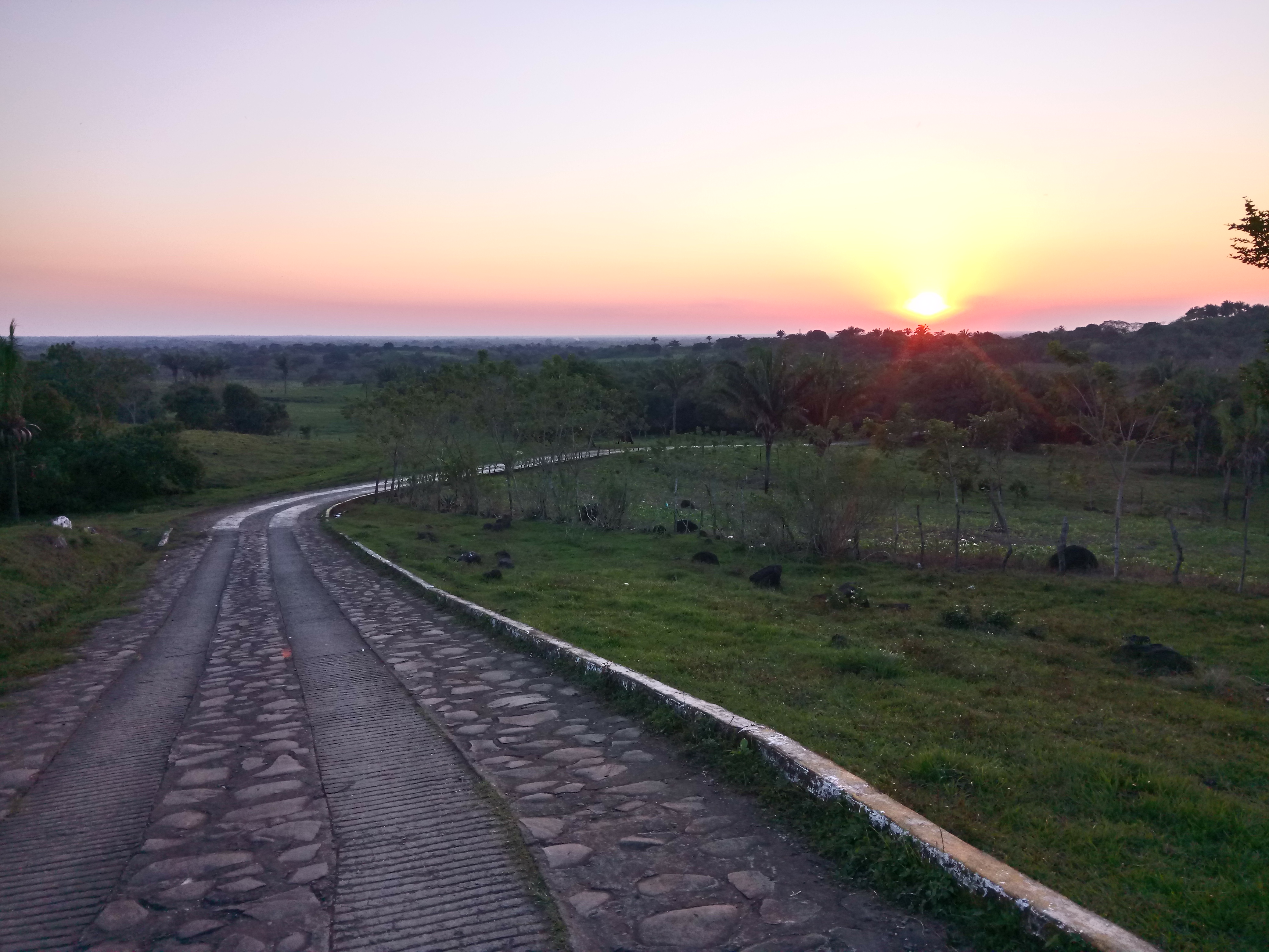 Palapa "El Apompal" image 9