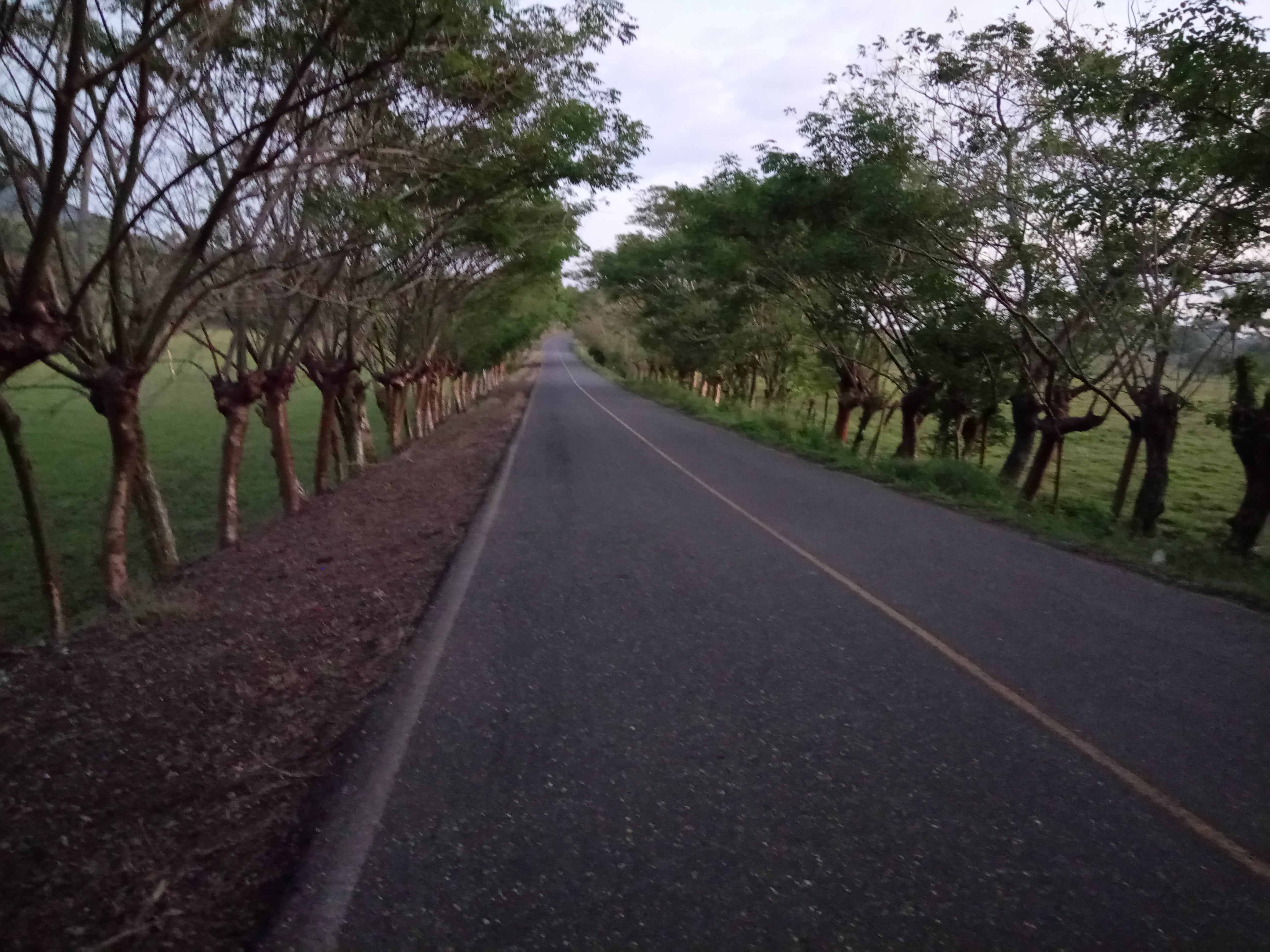 Palapa "El Apompal" image 10