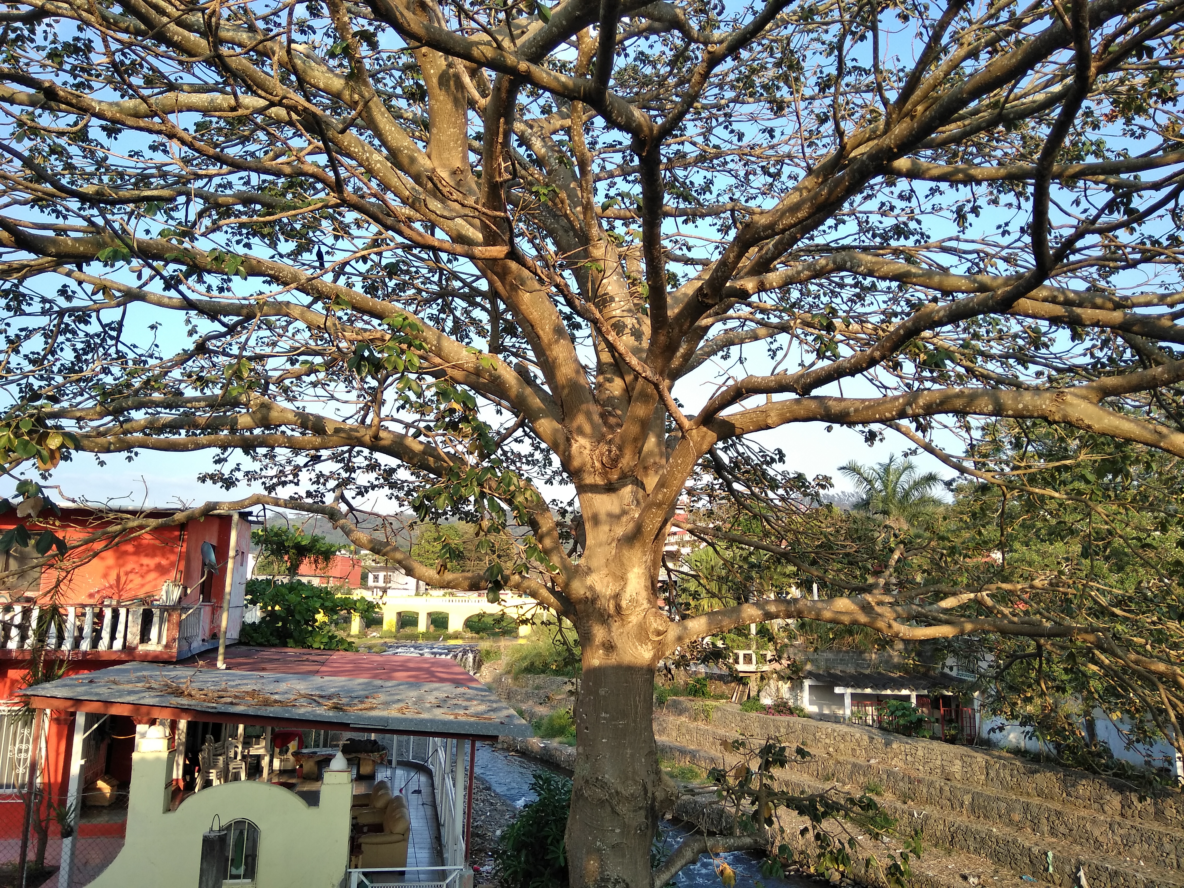 Restaurante Doña Mari image 4