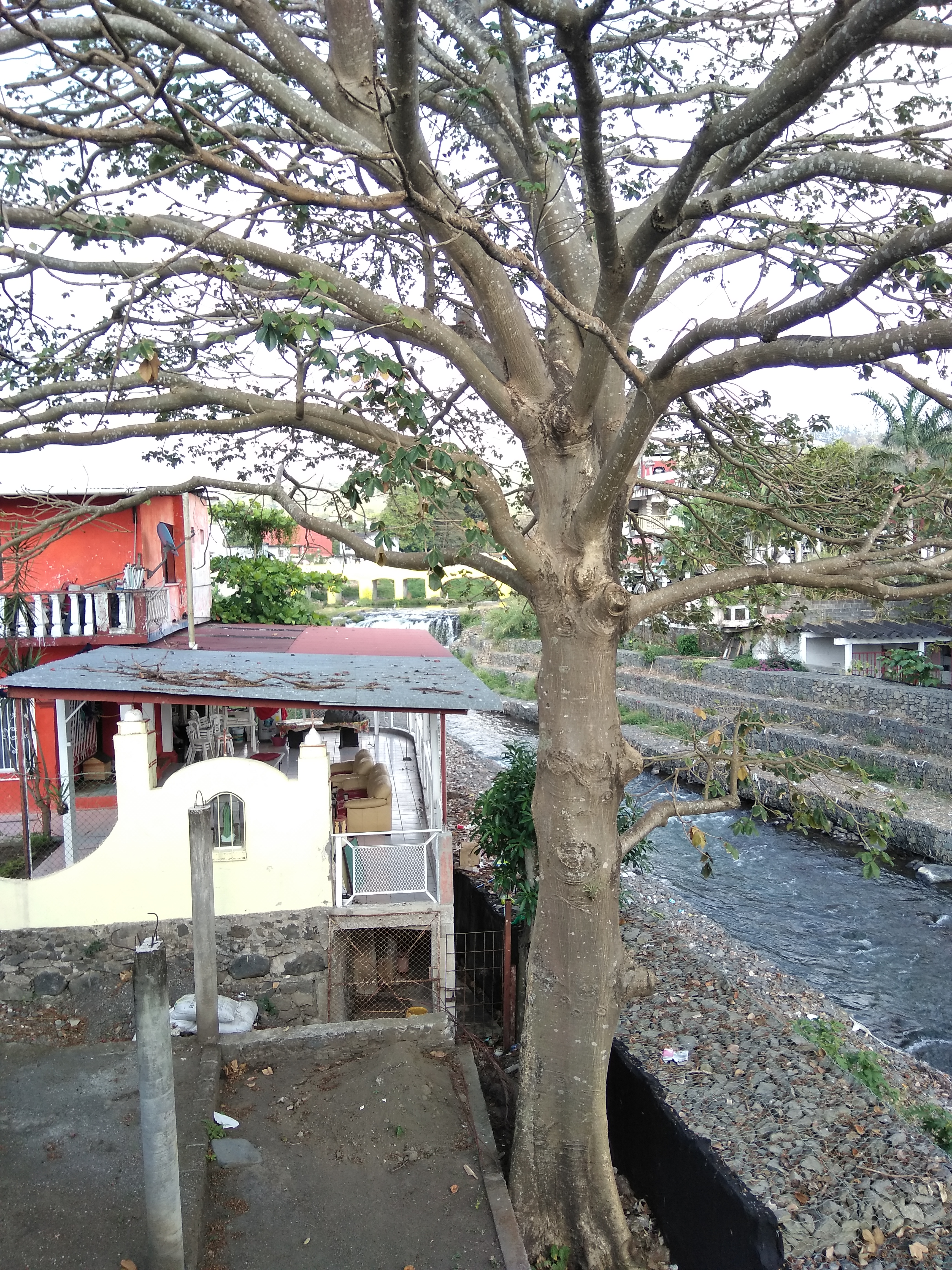 Restaurante Doña Mari image 10