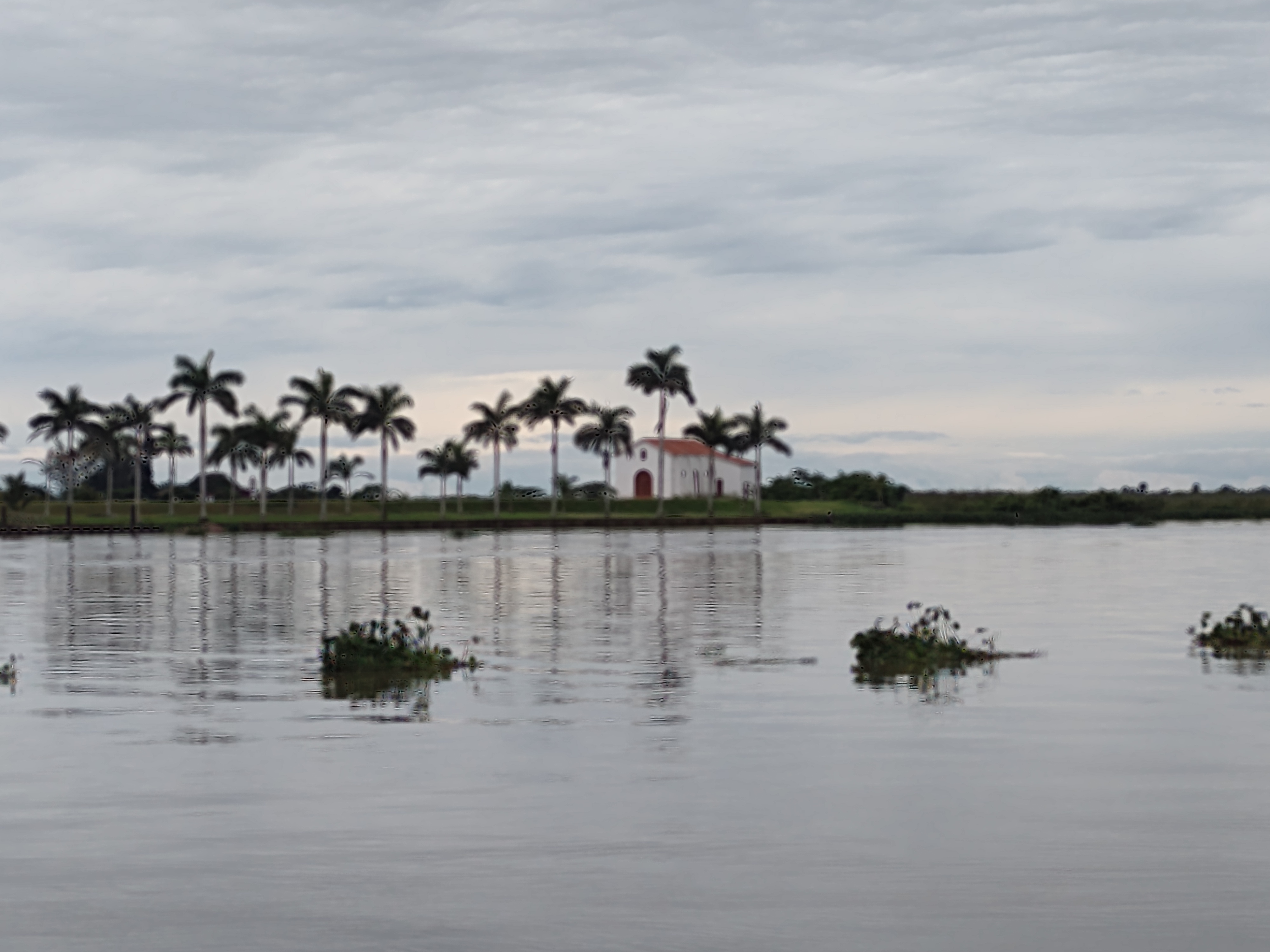 Restaurante Tlacotalpan image 3
