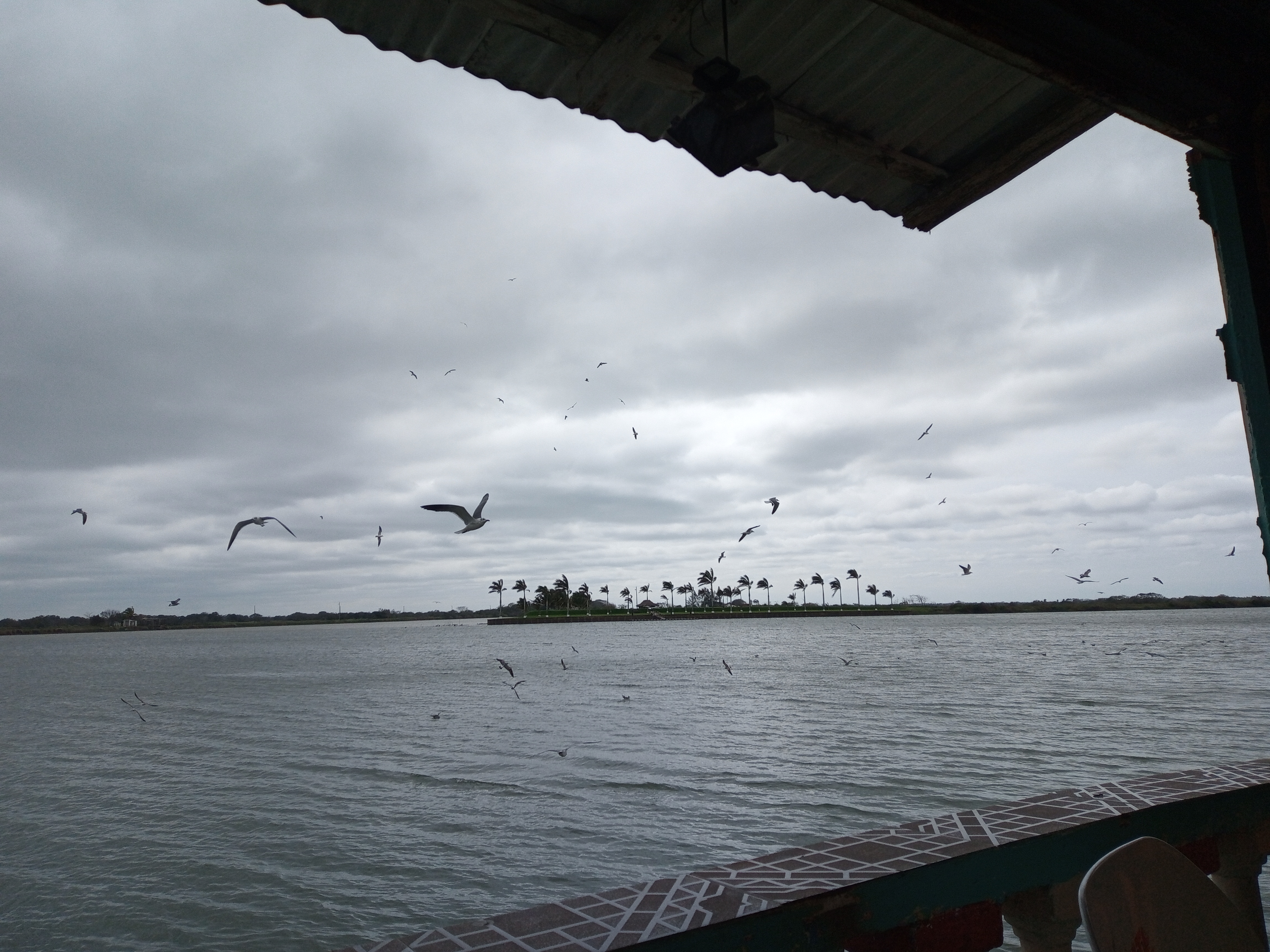 Restaurante Tlacotalpan image 10