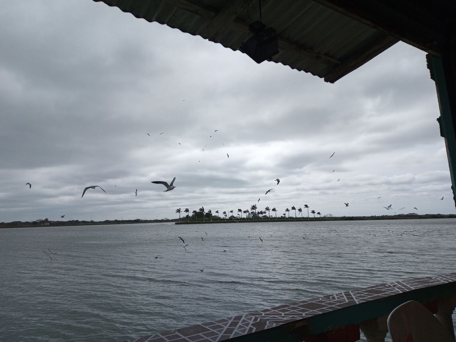 Restaurante Tlacotalpan image 10
