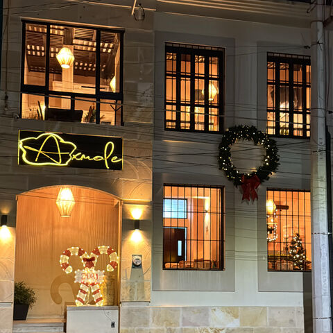 Axmole Restaurante image 2