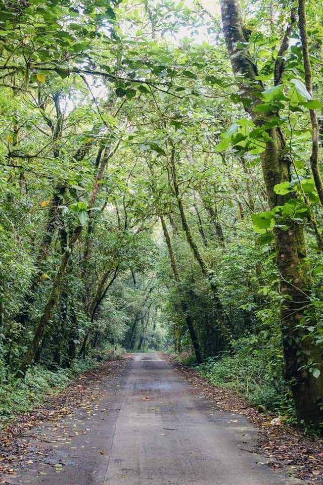 RESTAURANT MARTINEZ image 9