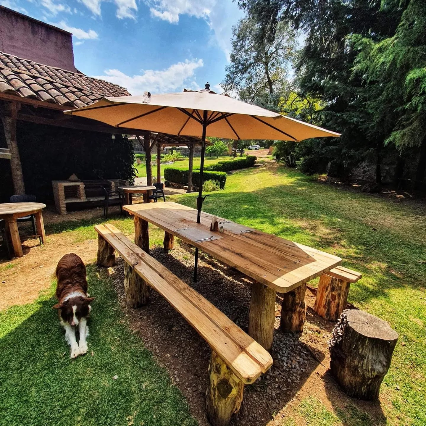 Restaurante Xic Xanac image 9