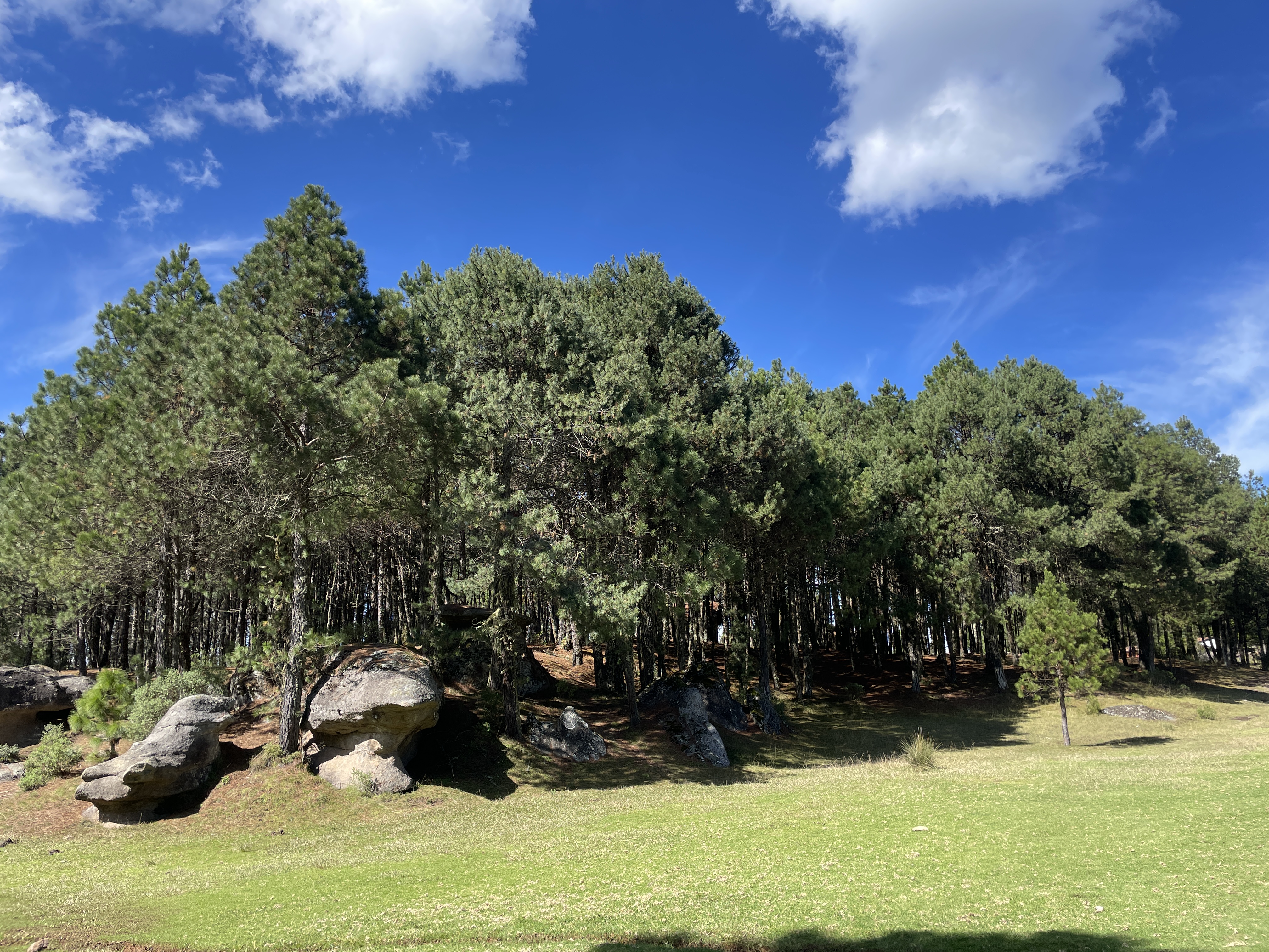 Restaurante piedras encimadas image 3