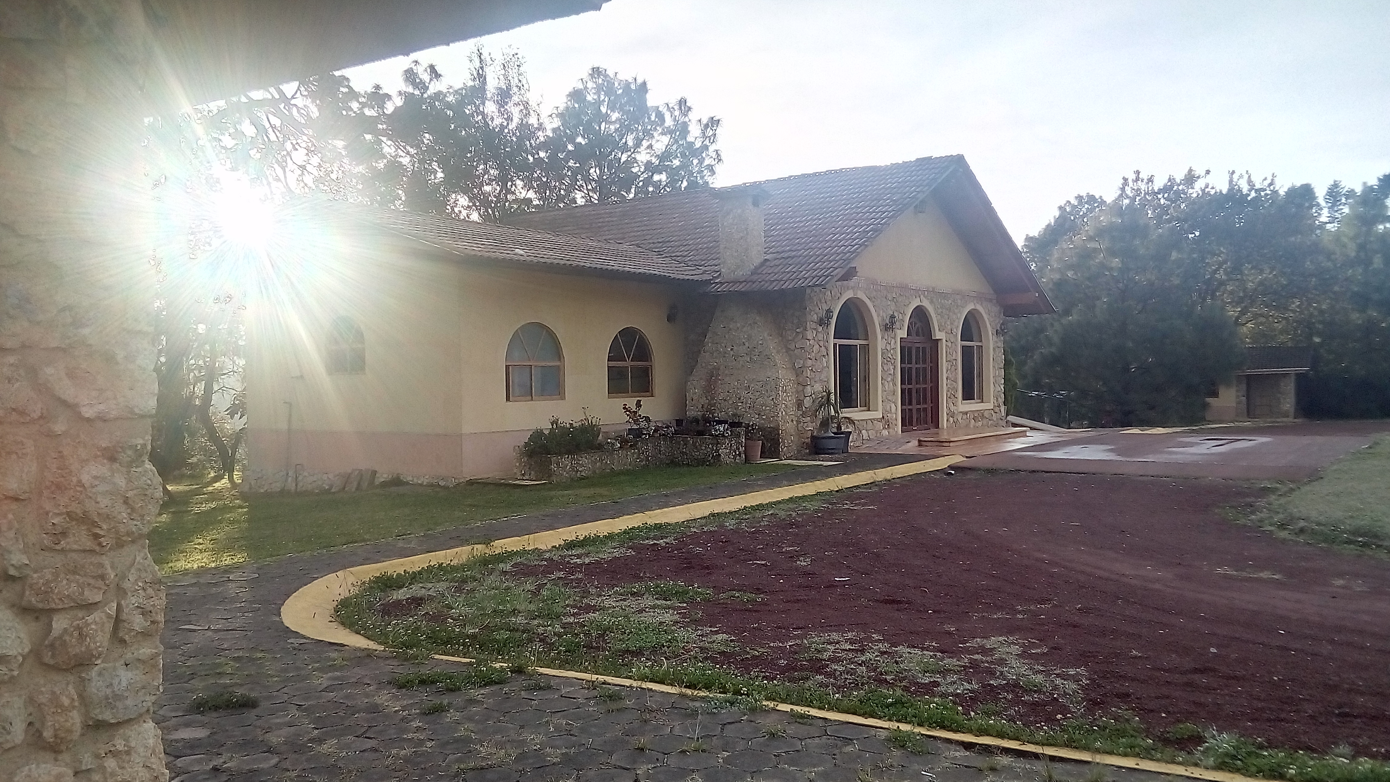 Restaurante Los Angeles image 6