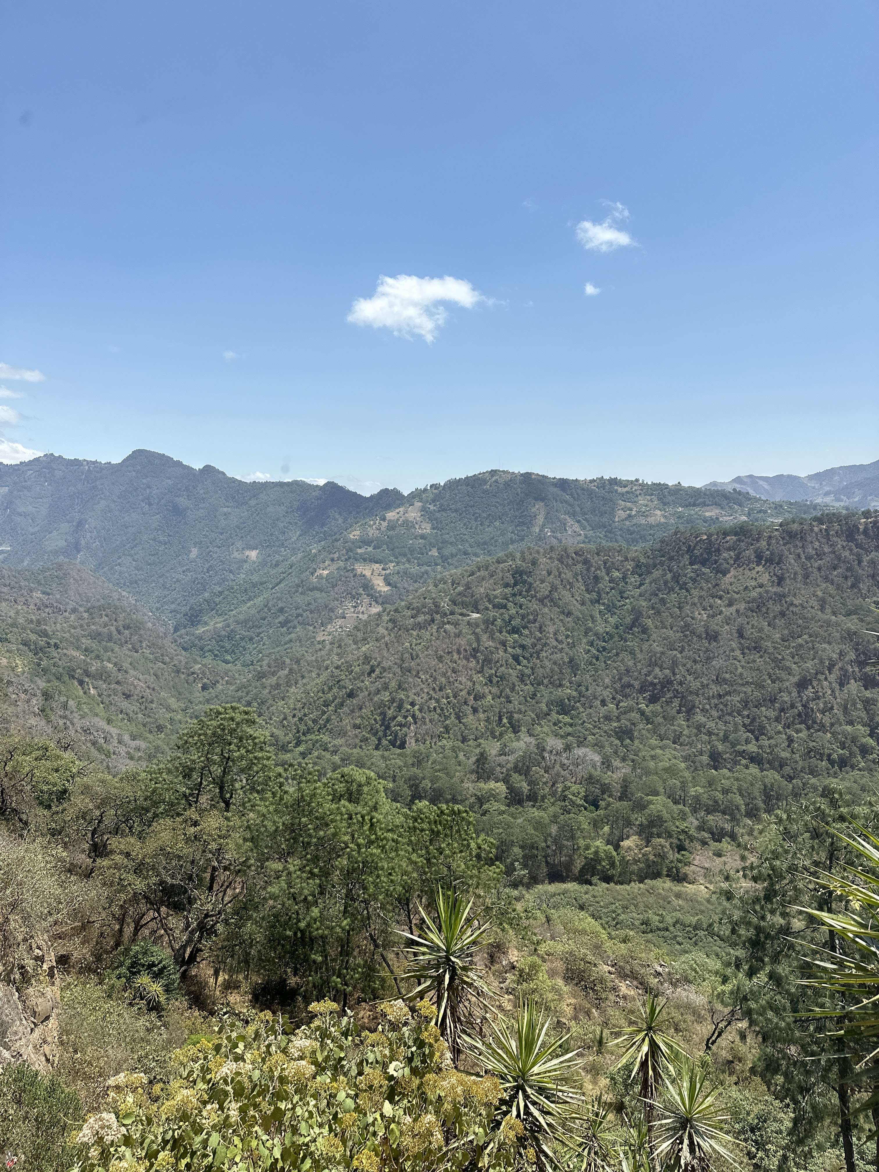 GulaGula Restaurant image 5