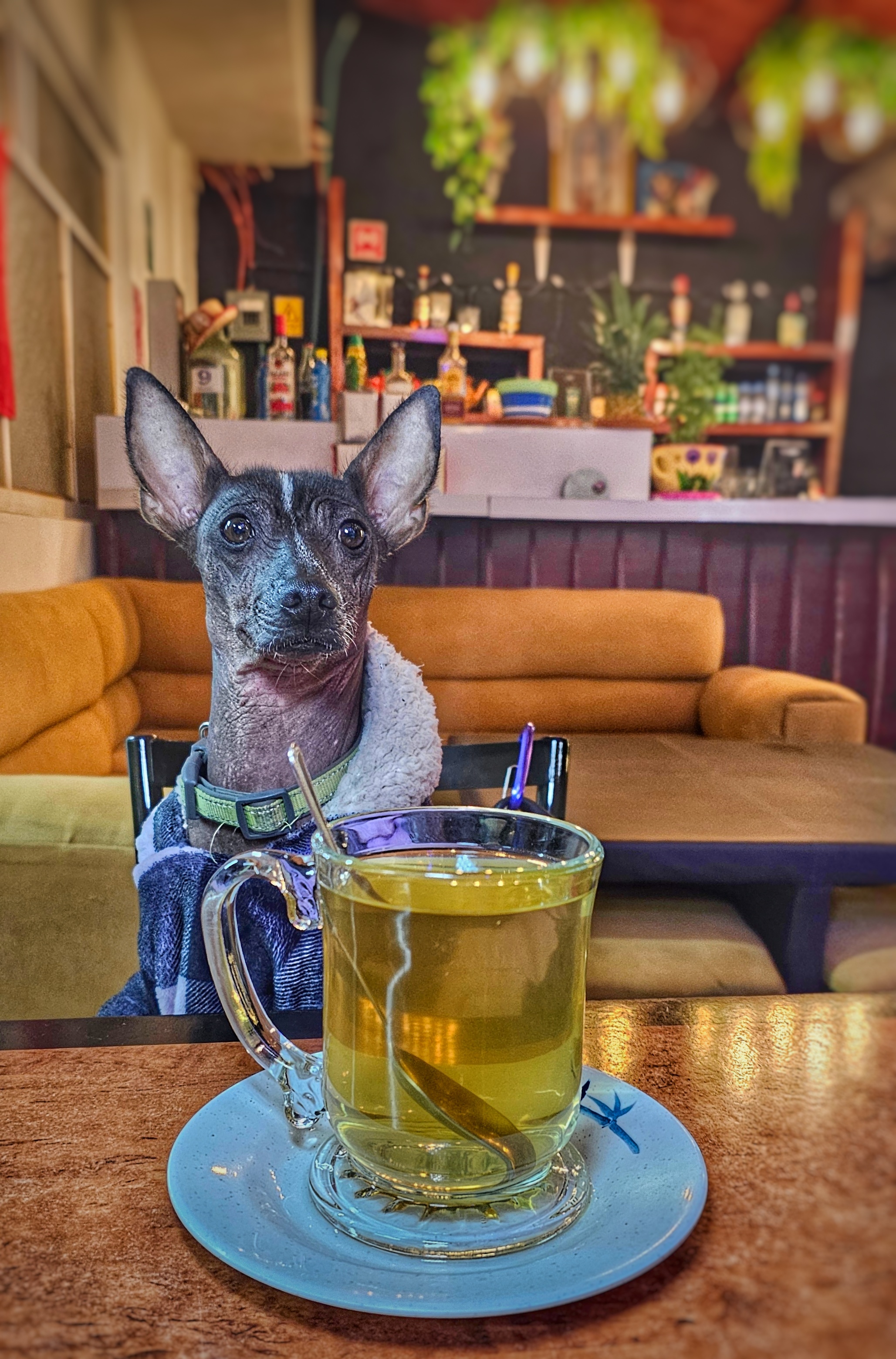 Restaurante El Imperio Del Dragón image 7