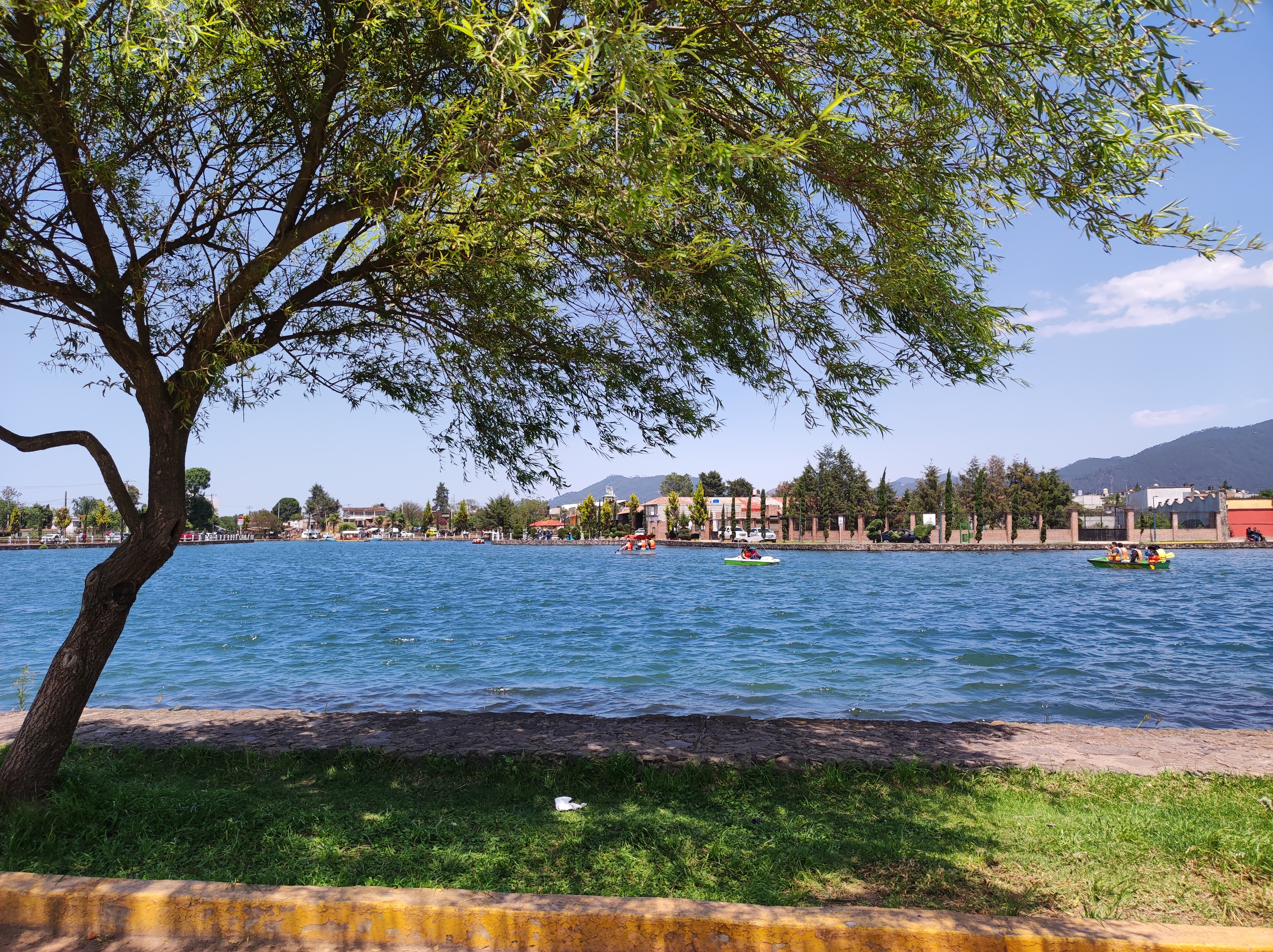 Doña Chuy Restaurant Bar image 4