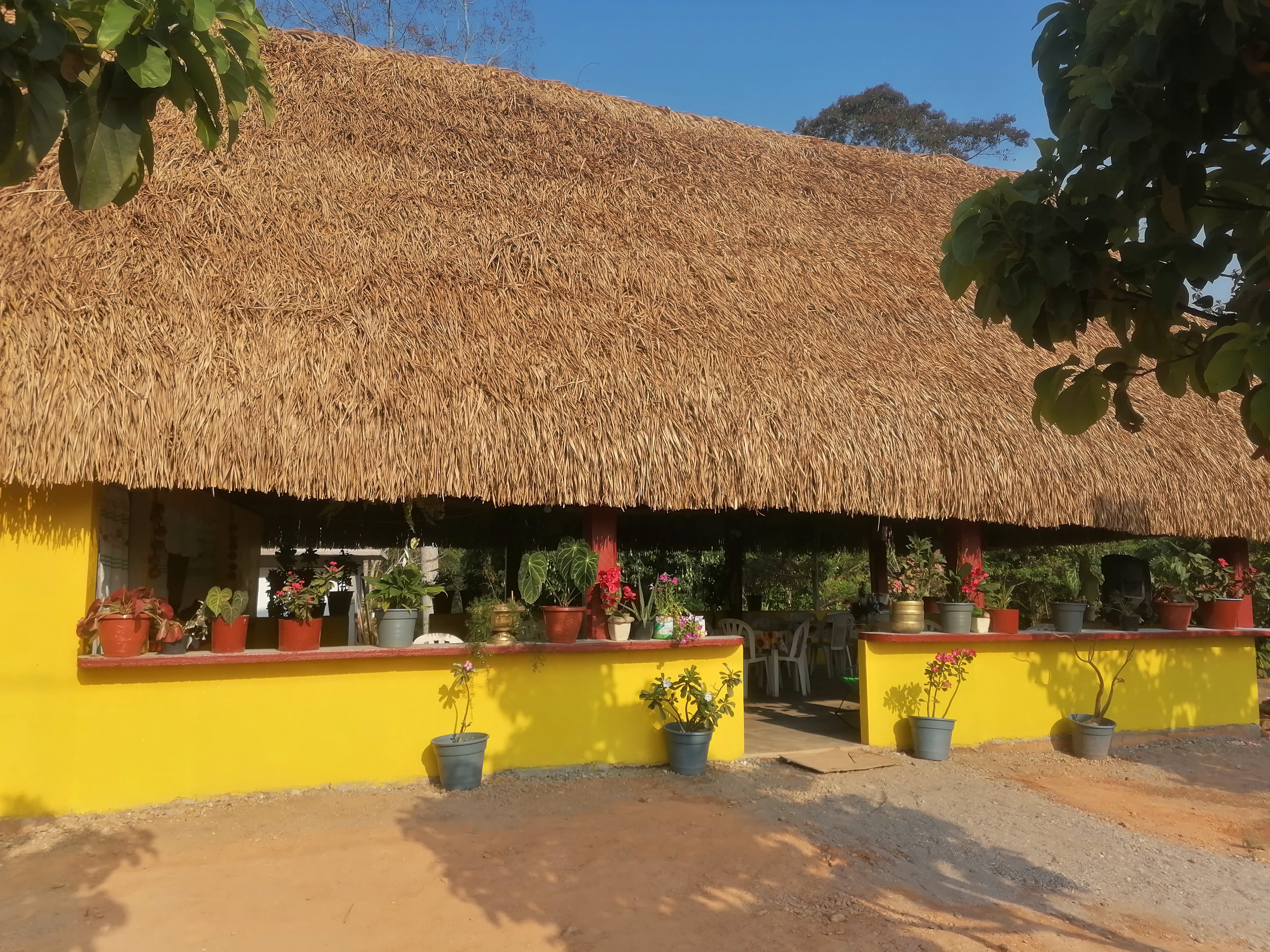 Comedor"El Mojado" image 1