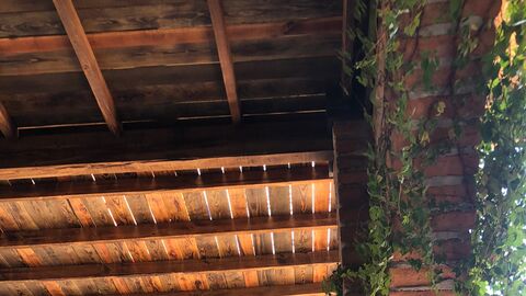 EL MONTE DE LOS OLIVOS image 3