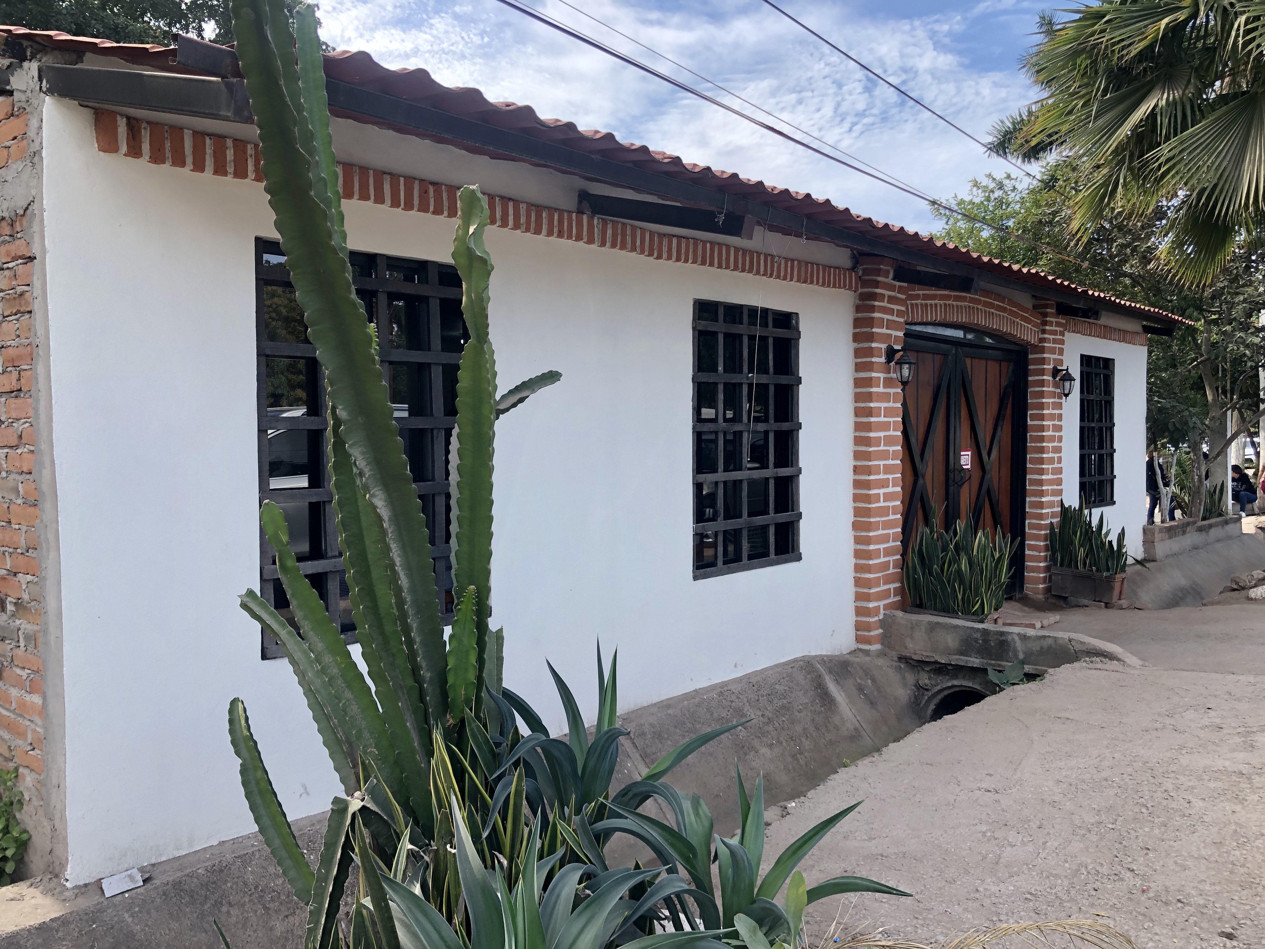 EL MONTE DE LOS OLIVOS image 10