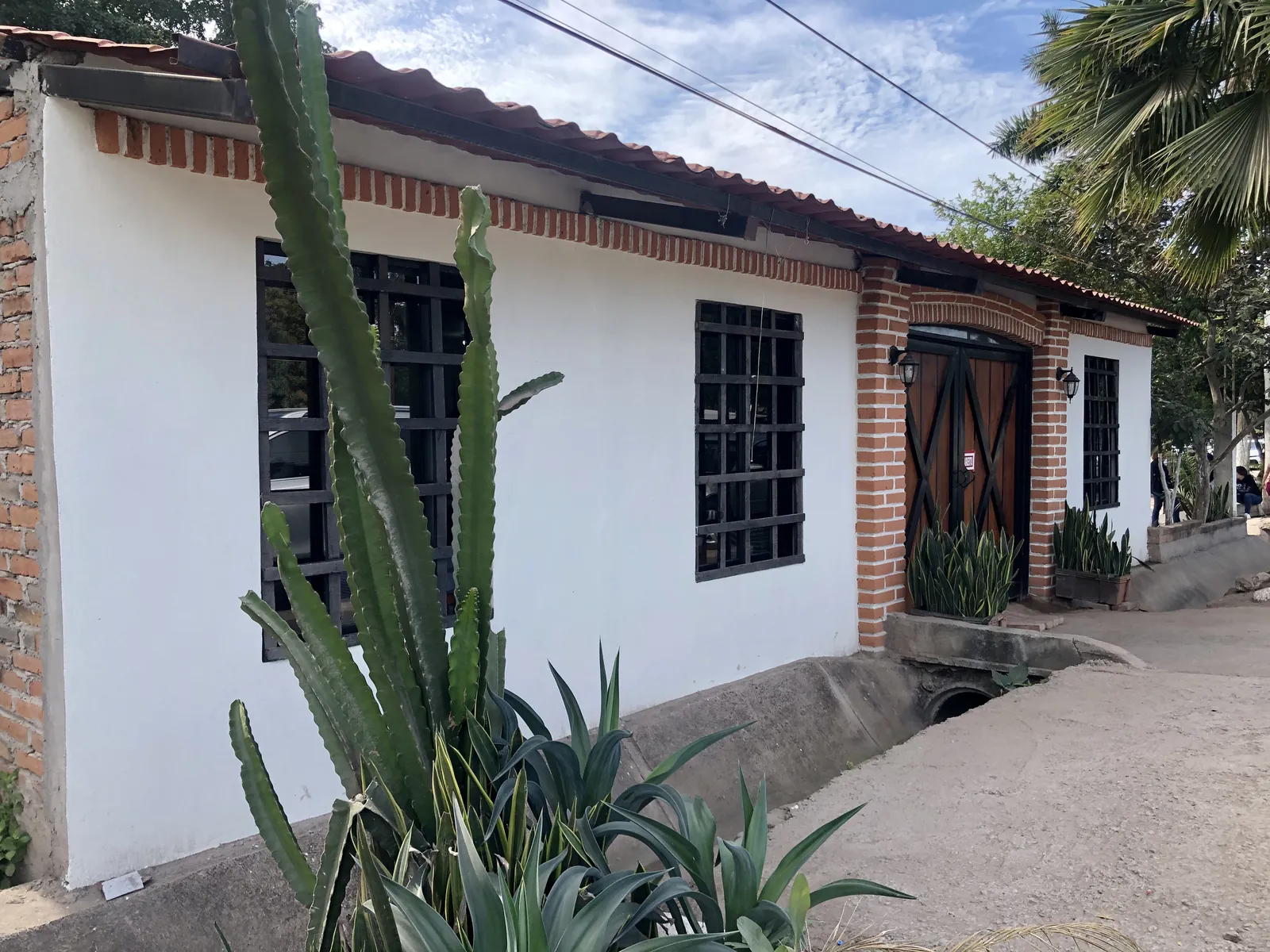 EL MONTE DE LOS OLIVOS image 10