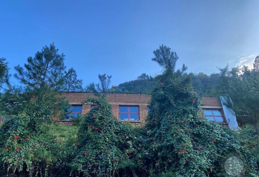 Restaurante Tek image 4