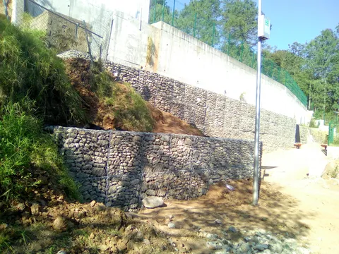 Sal y Pimienta image 3