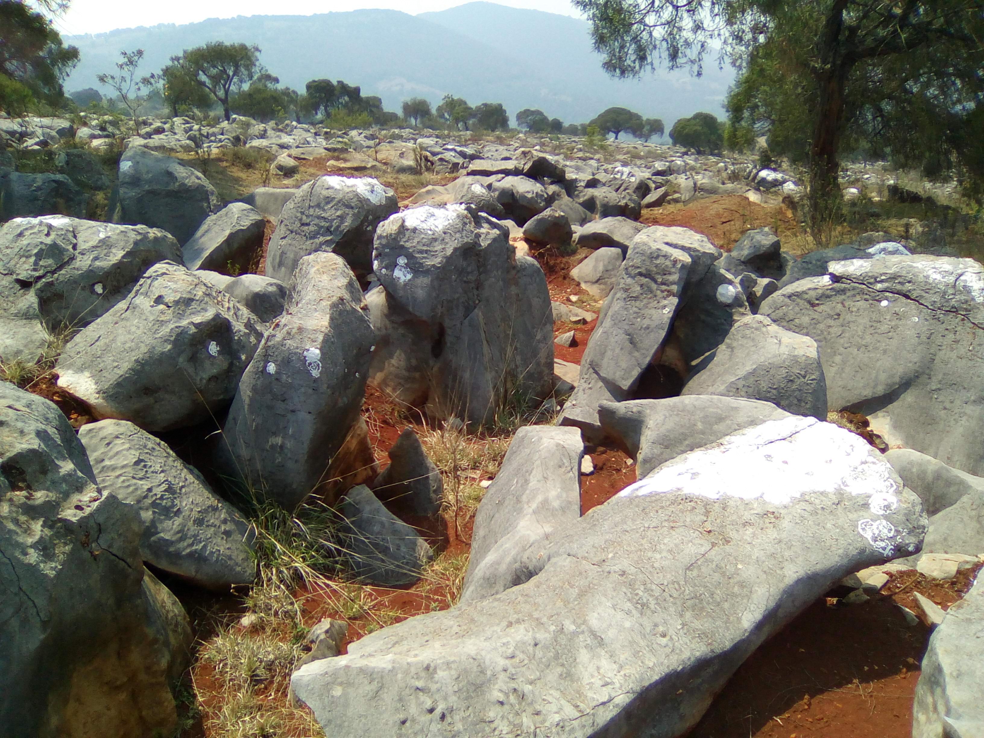 Sal y Pimienta image 9