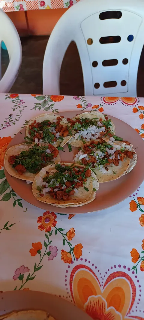 Taquería "HERNÁNDEZ" image 2