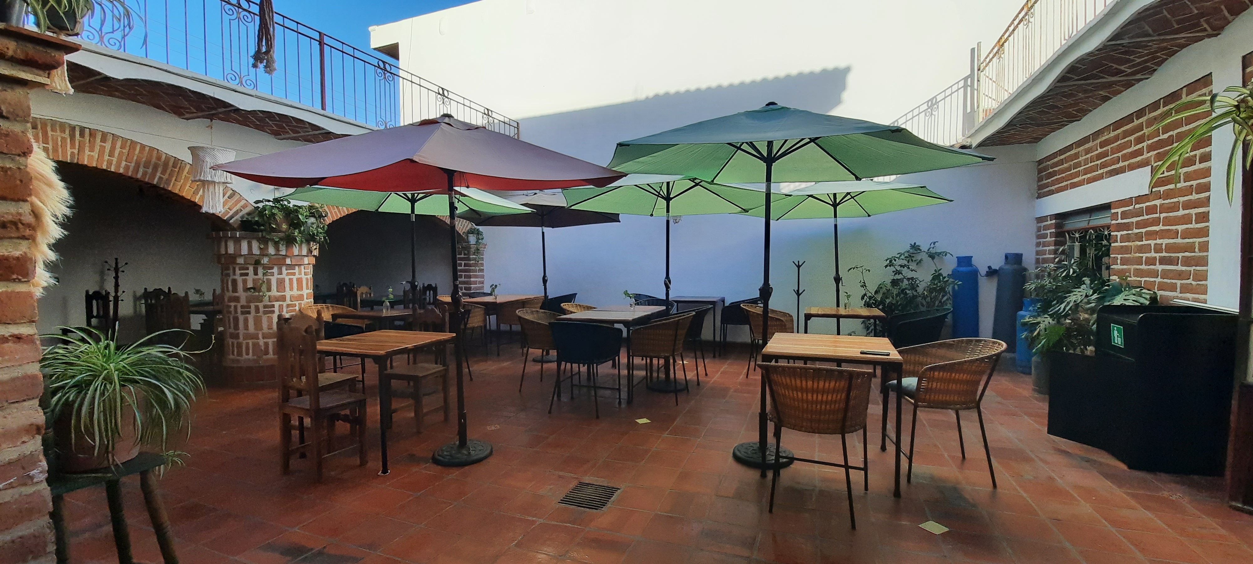 Flor de humo image 1