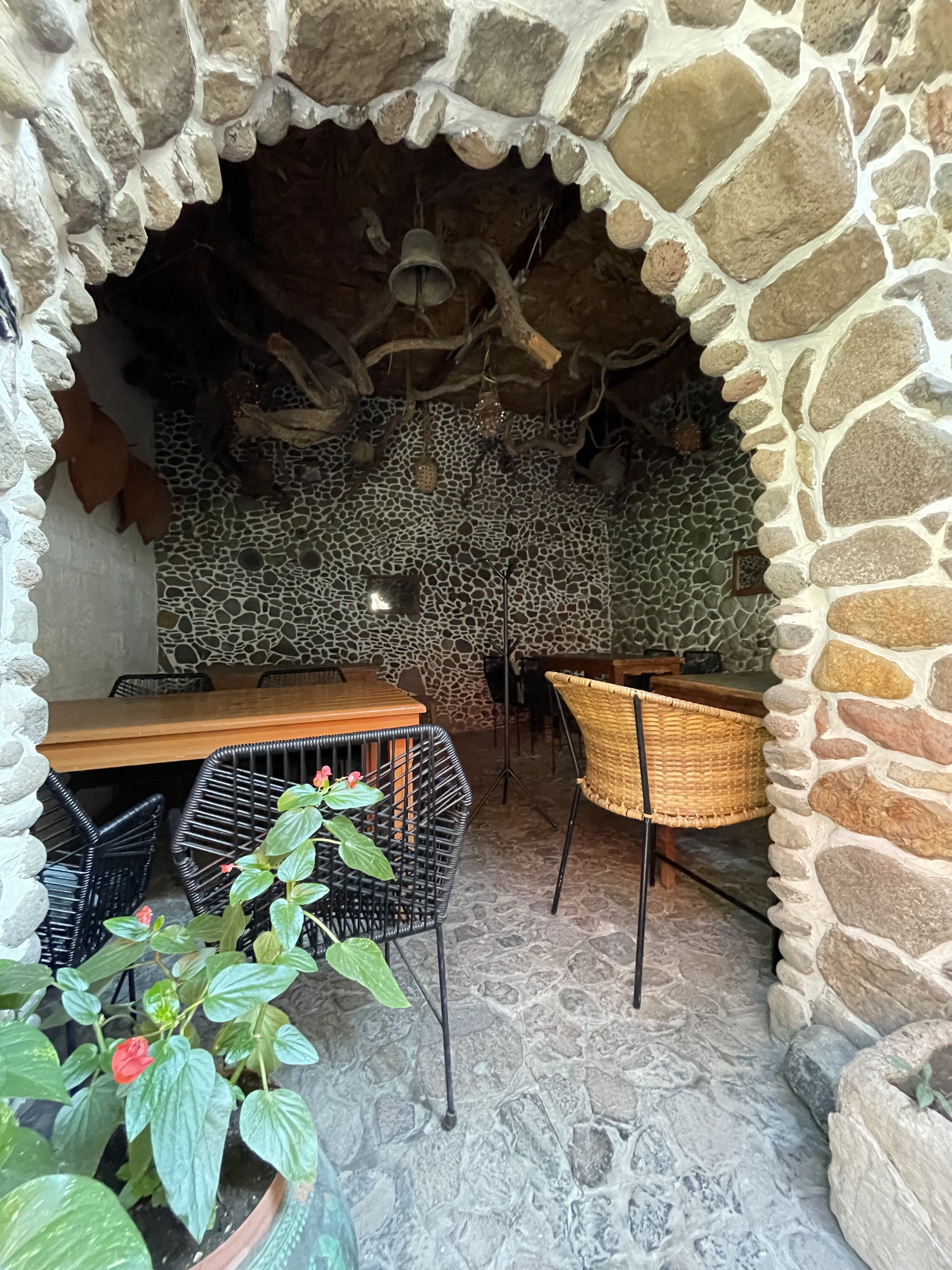 Flor de humo image 4