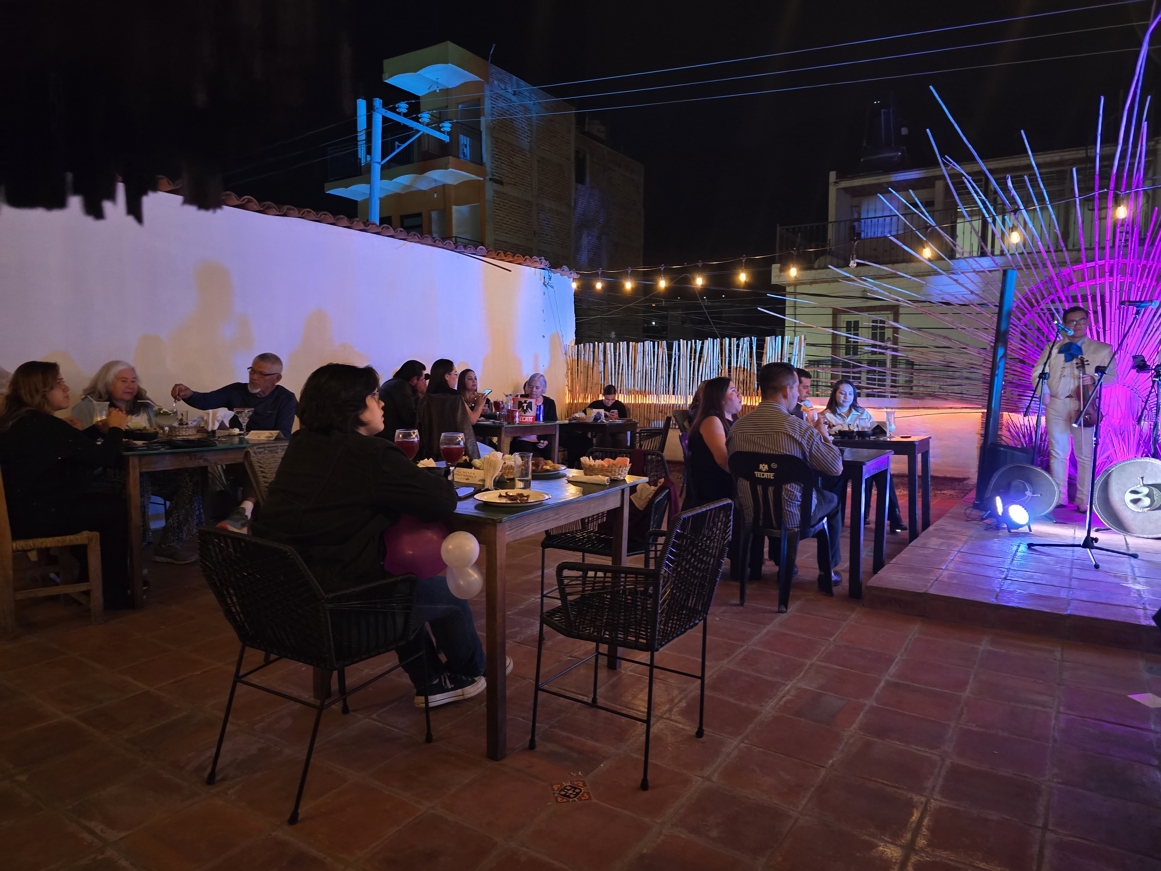 Flor de humo image 7