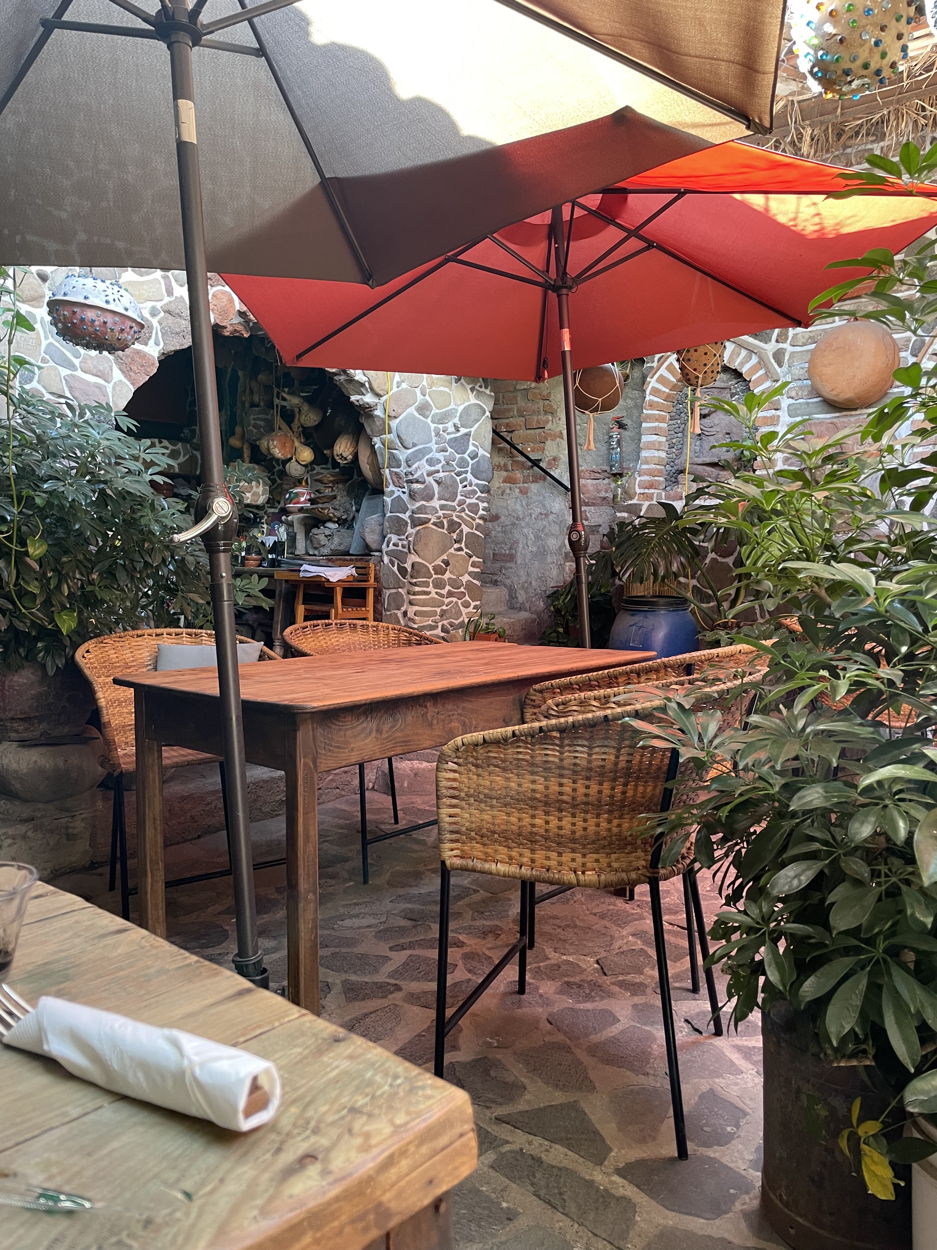 Flor de humo image 8