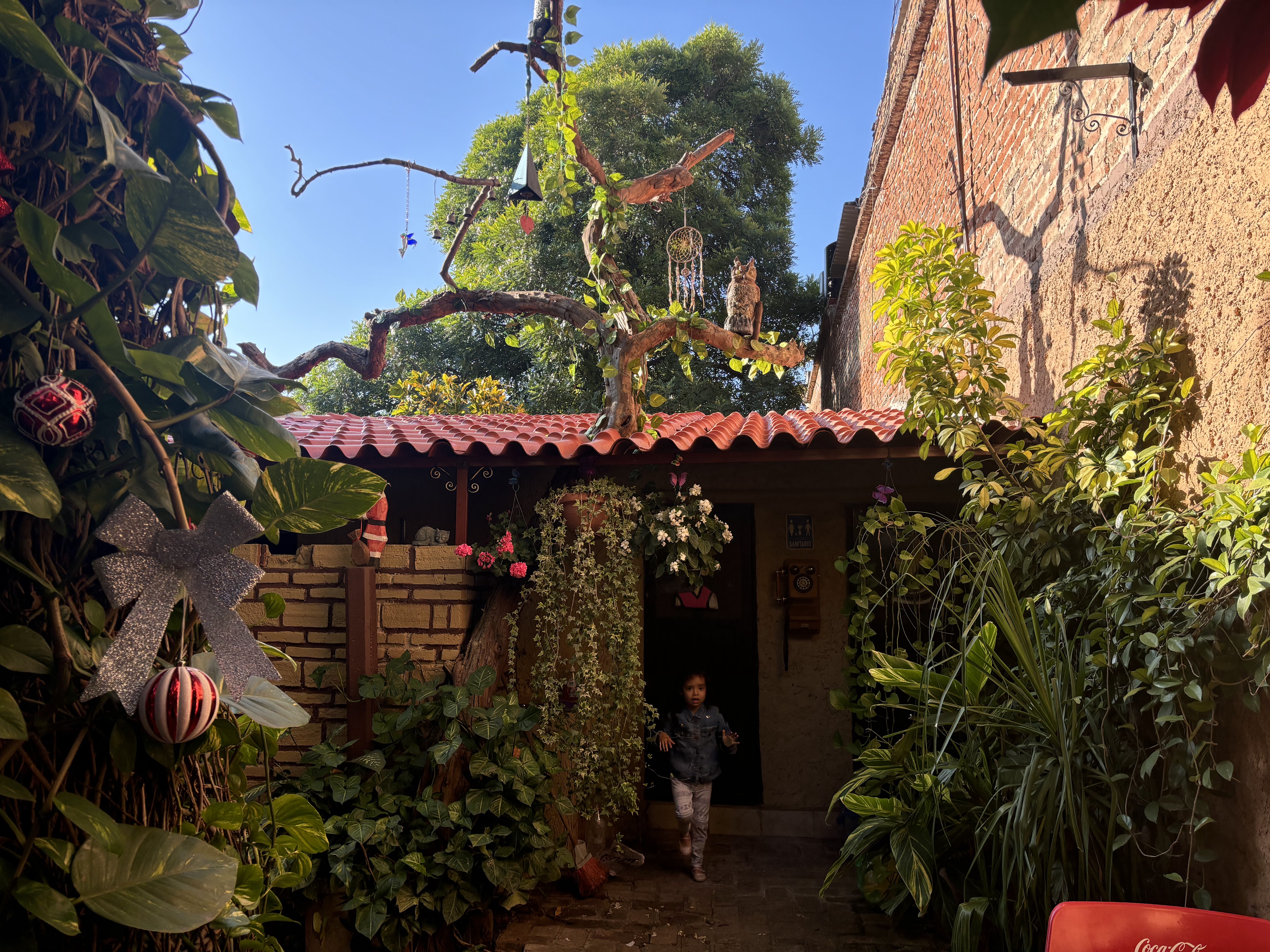 Restaurante Jando image 3