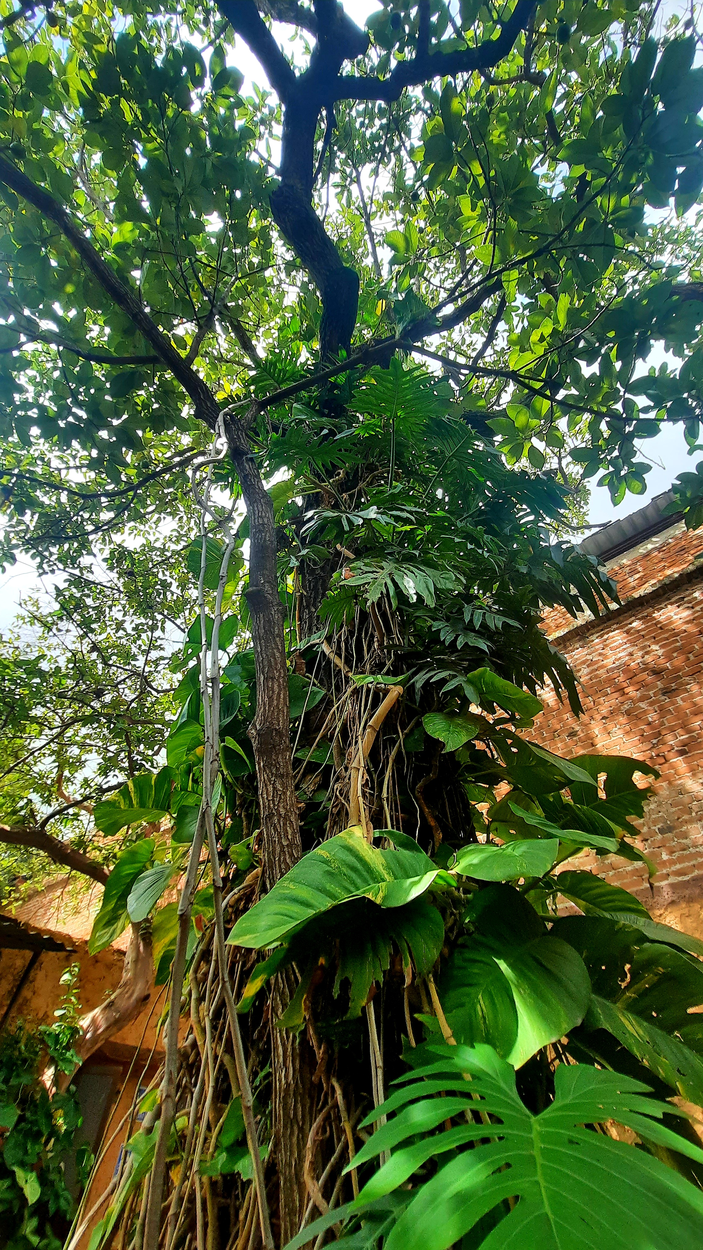 Restaurante Jando image 7