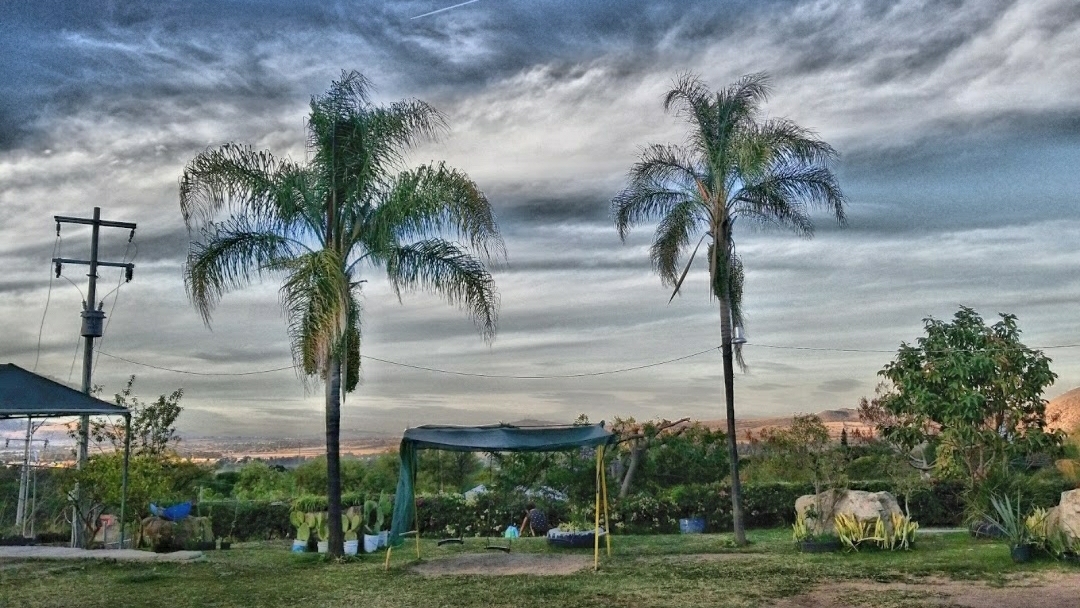 Palapa del mirador image 3