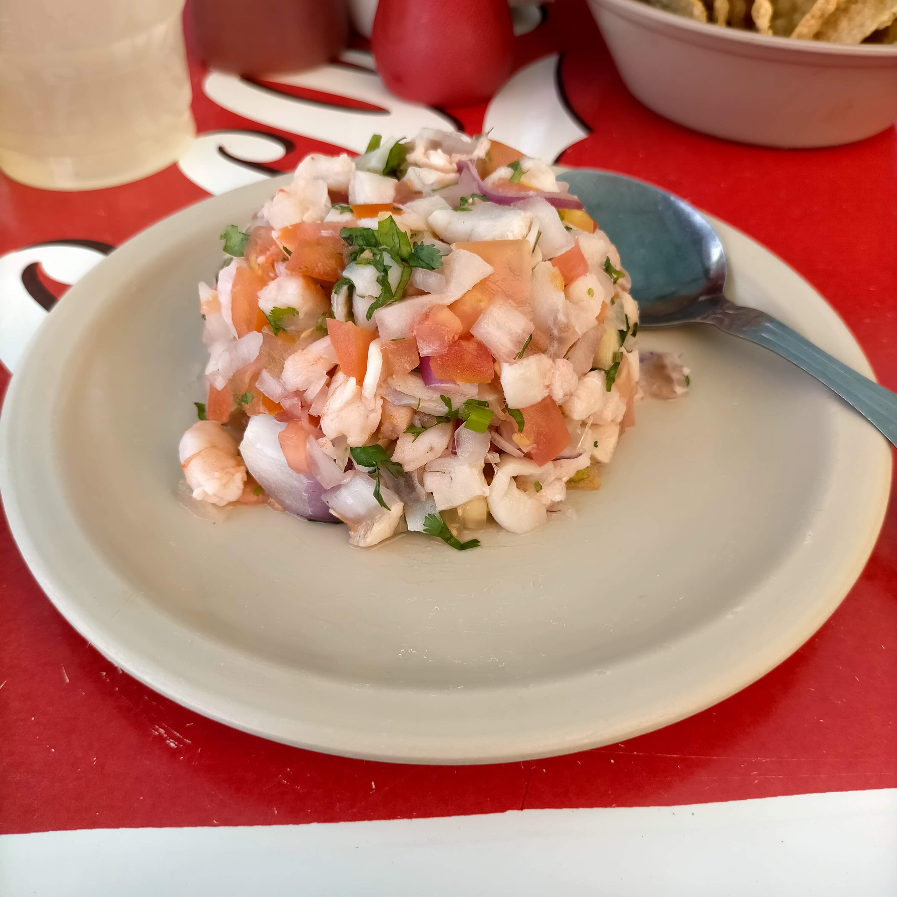 Palapa del mirador image 7