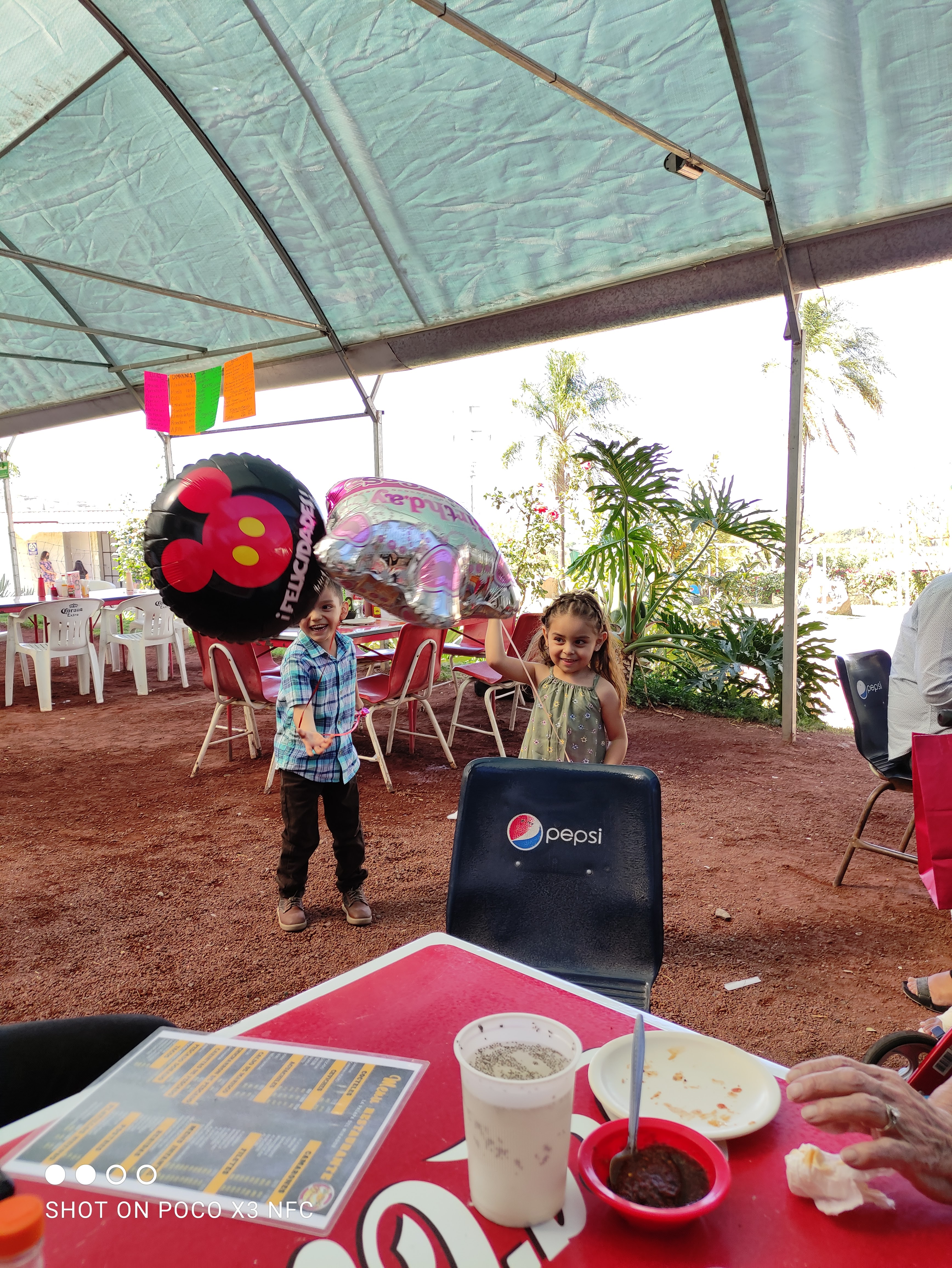 Palapa del mirador image 8