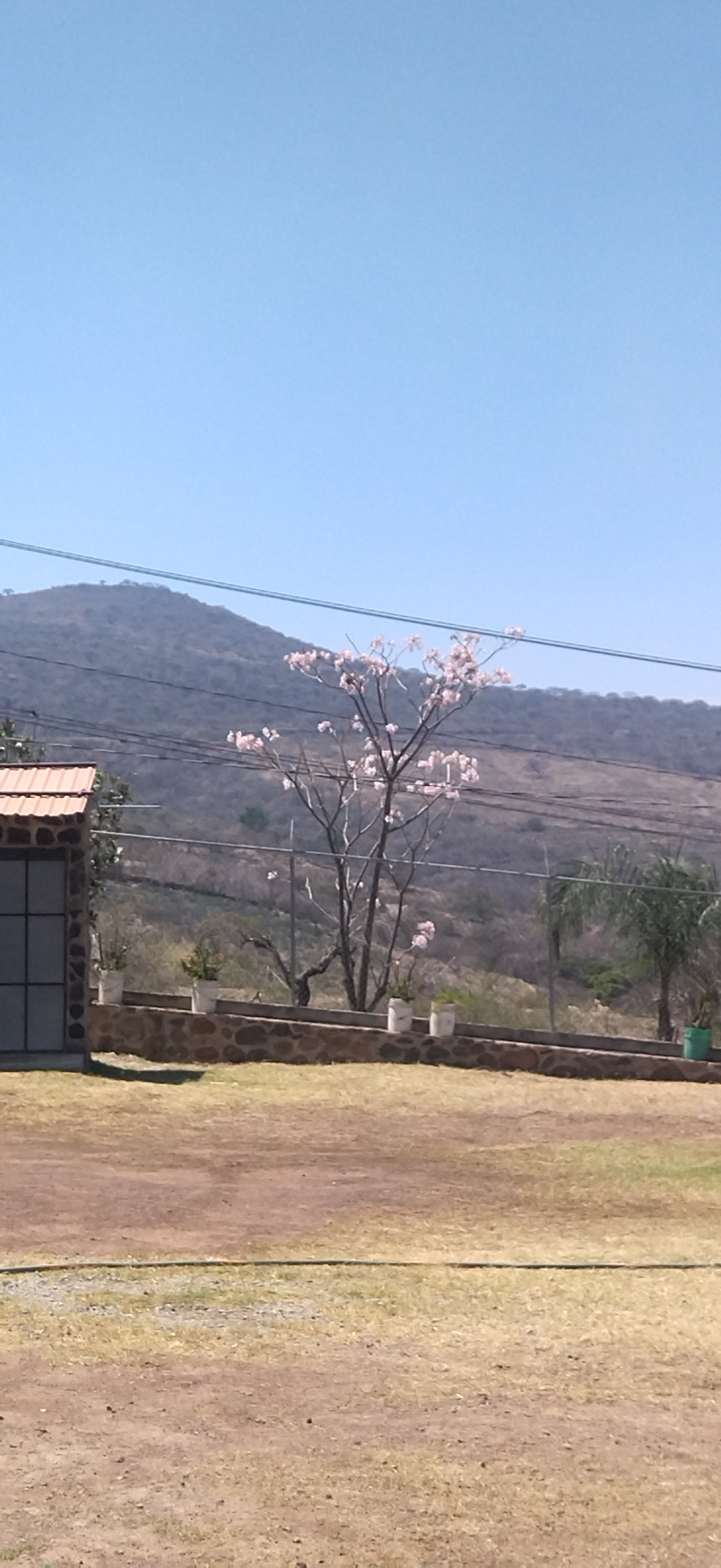 Palapa del mirador image 9